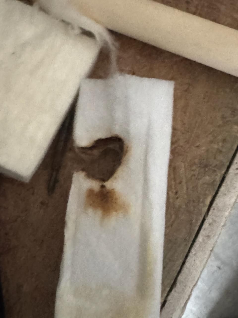  for CHServices in Aynor, SC