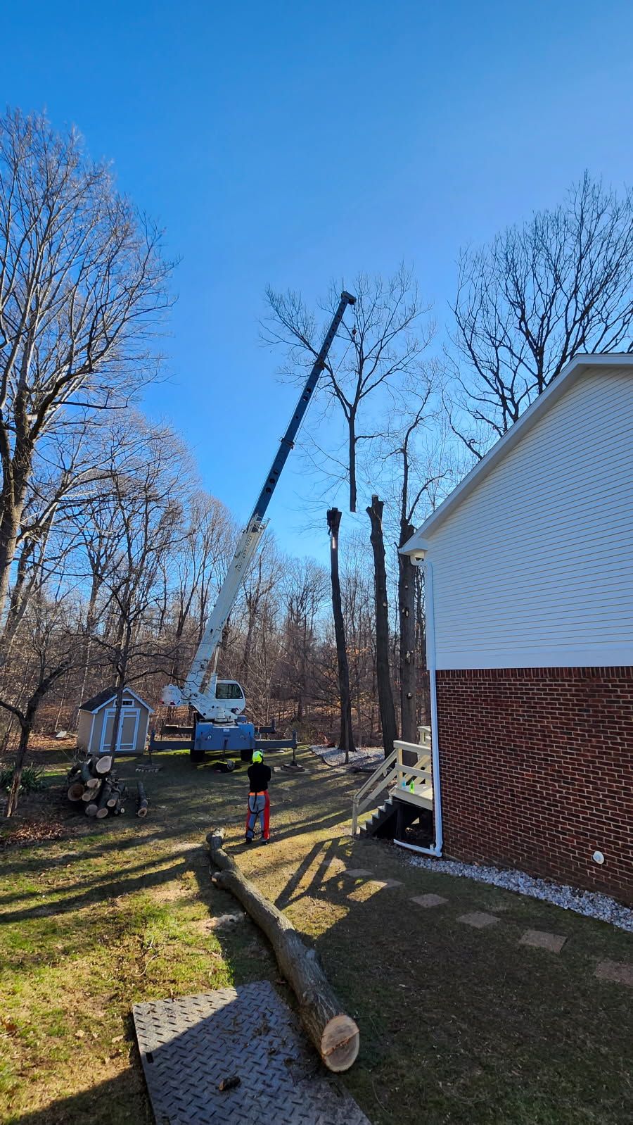  for Advanced Tree Solutions in Rockville, IN
