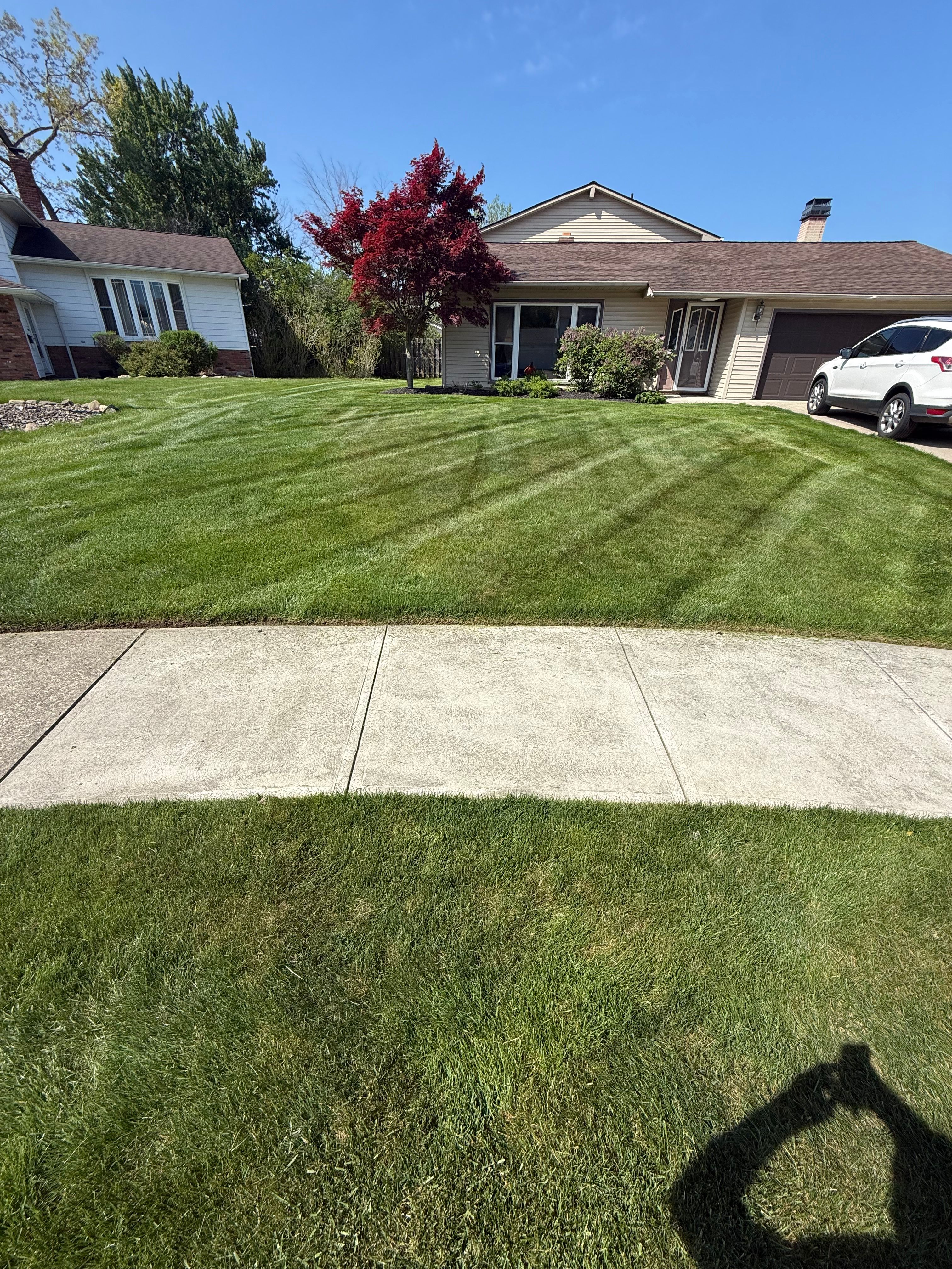  for Yard Theory in Willowick, OH