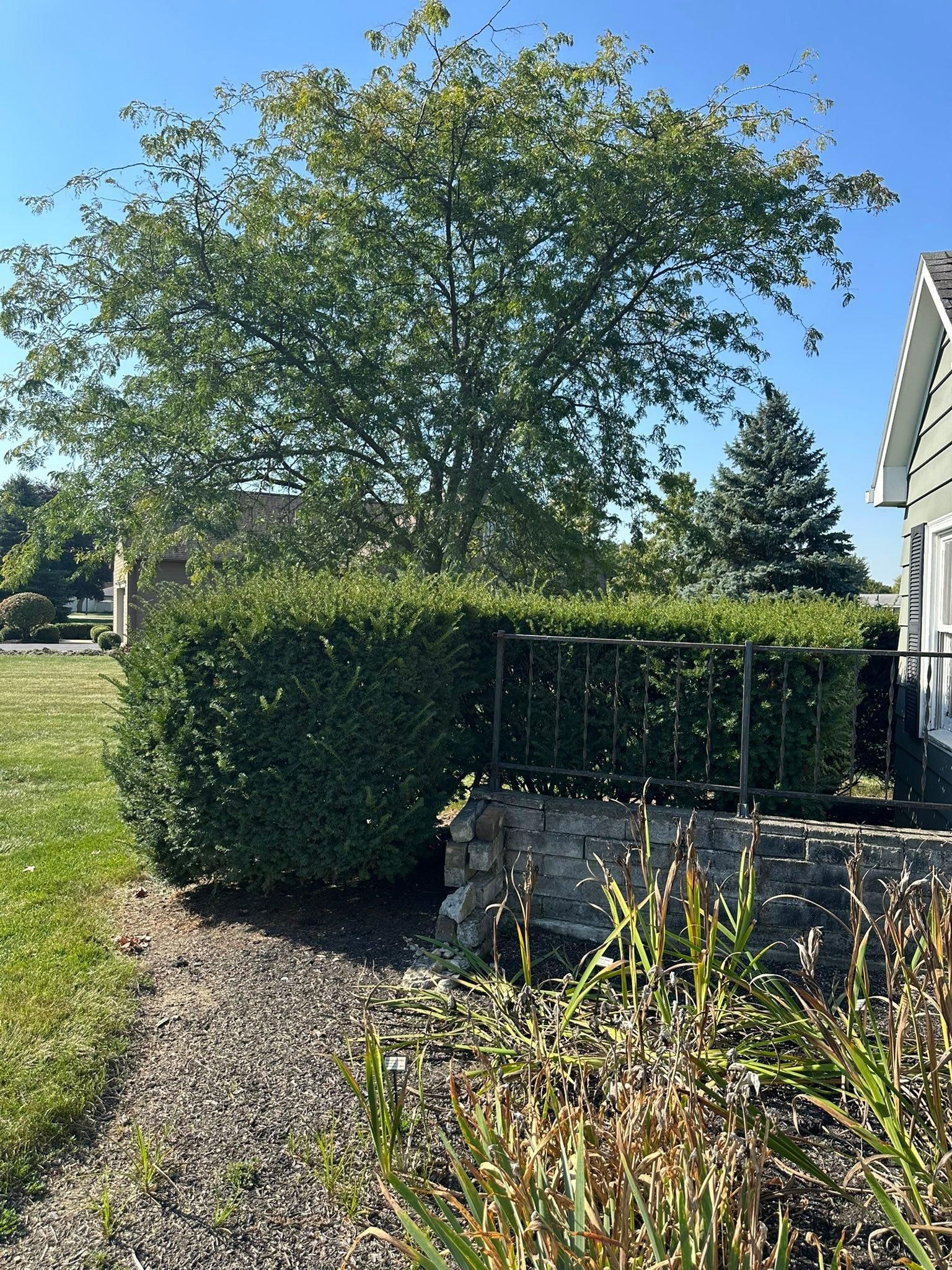  for OT Lawn and Landscaping LLC in Carey, OH