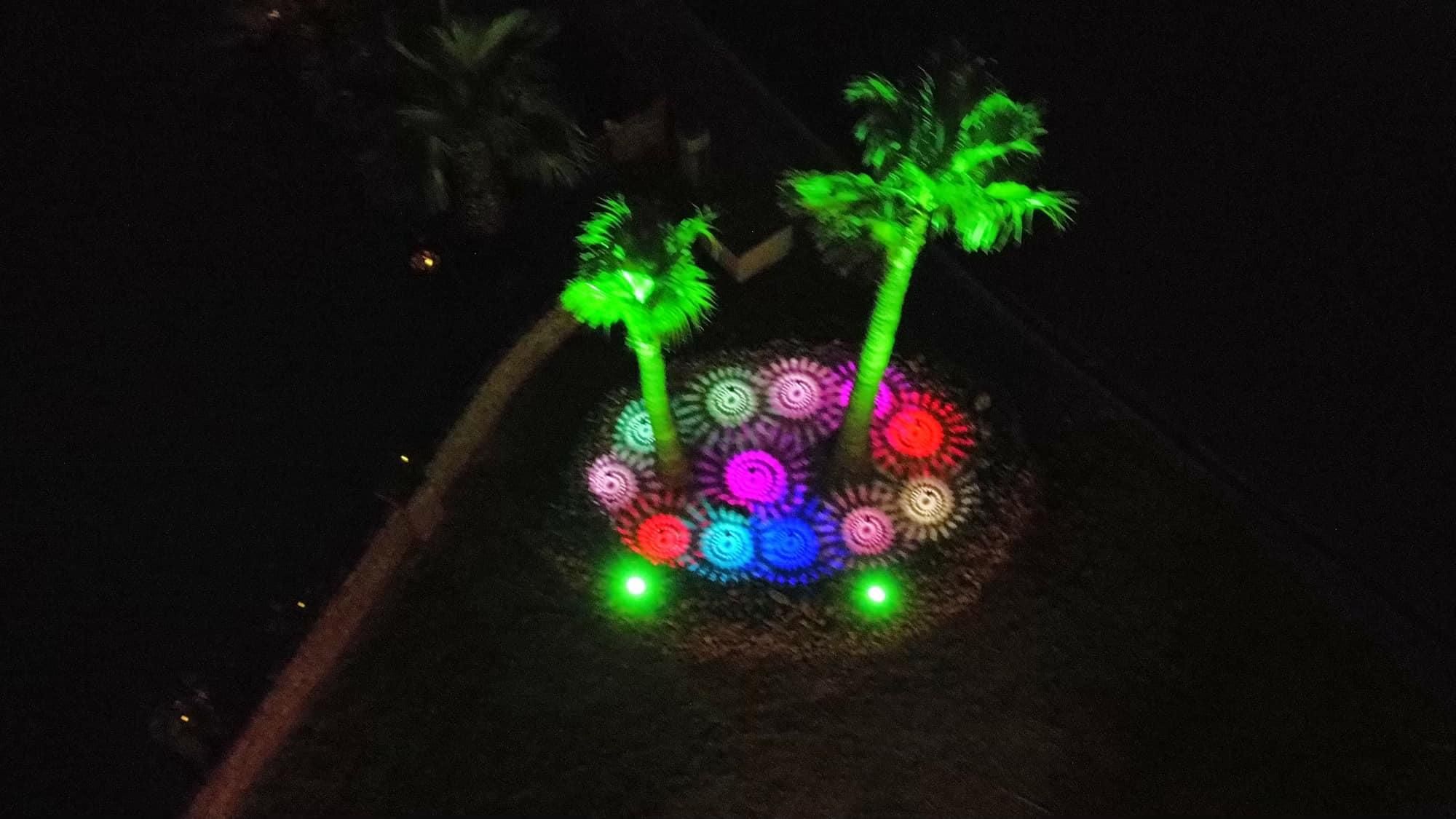  for Oliver L. Palm & Tree services in Yuma County, AZ