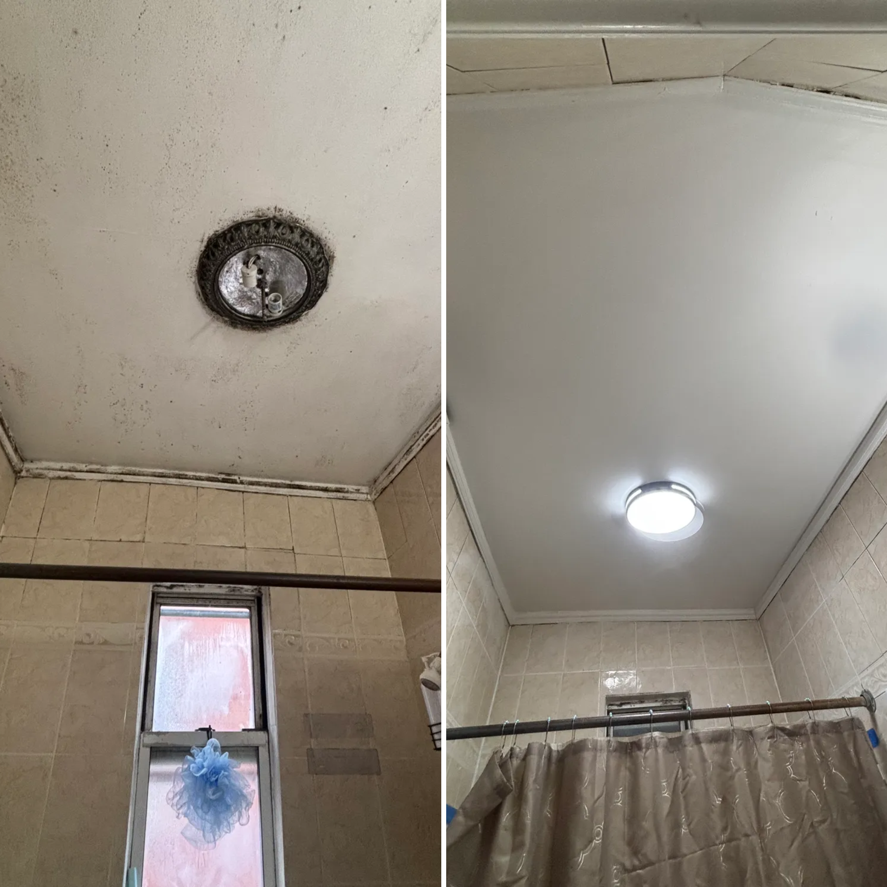  for Arpi & Alvarado Painting and Repair in Brooklyn, NY