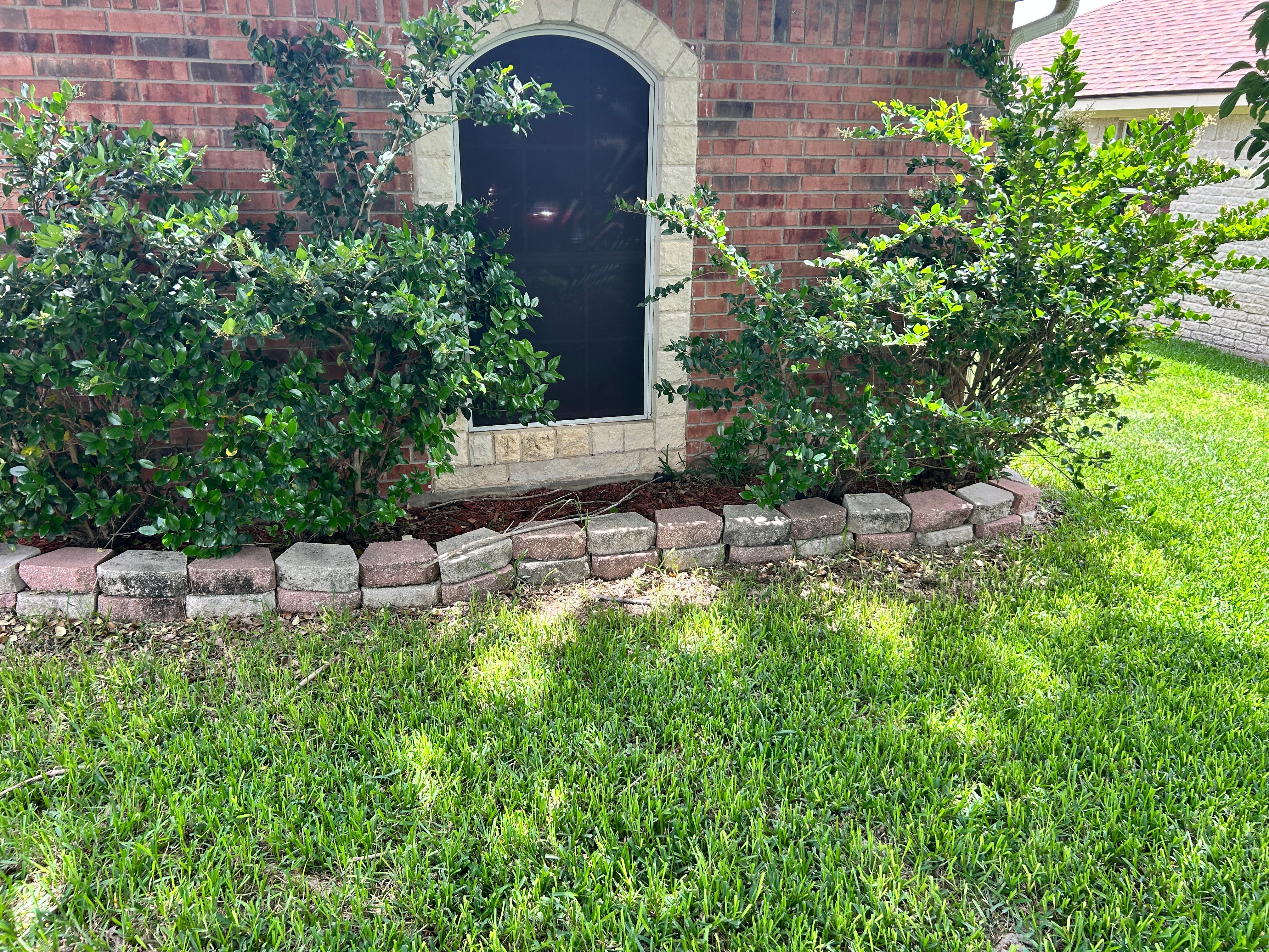  for D’s Lawncare in Killeen, TX