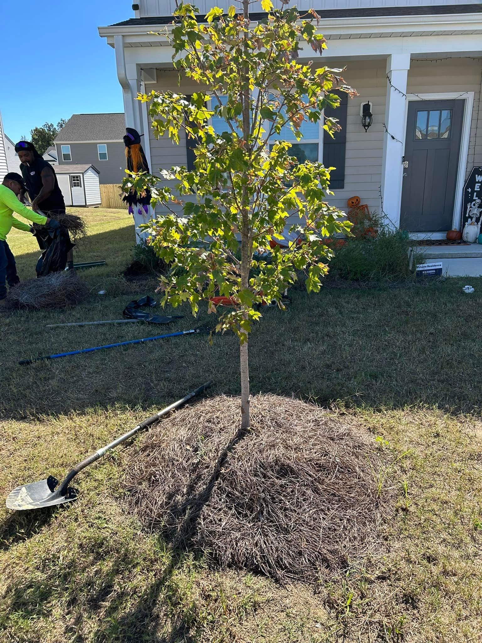  for Cutting Edge Lawn Care in Fayetteville, NC