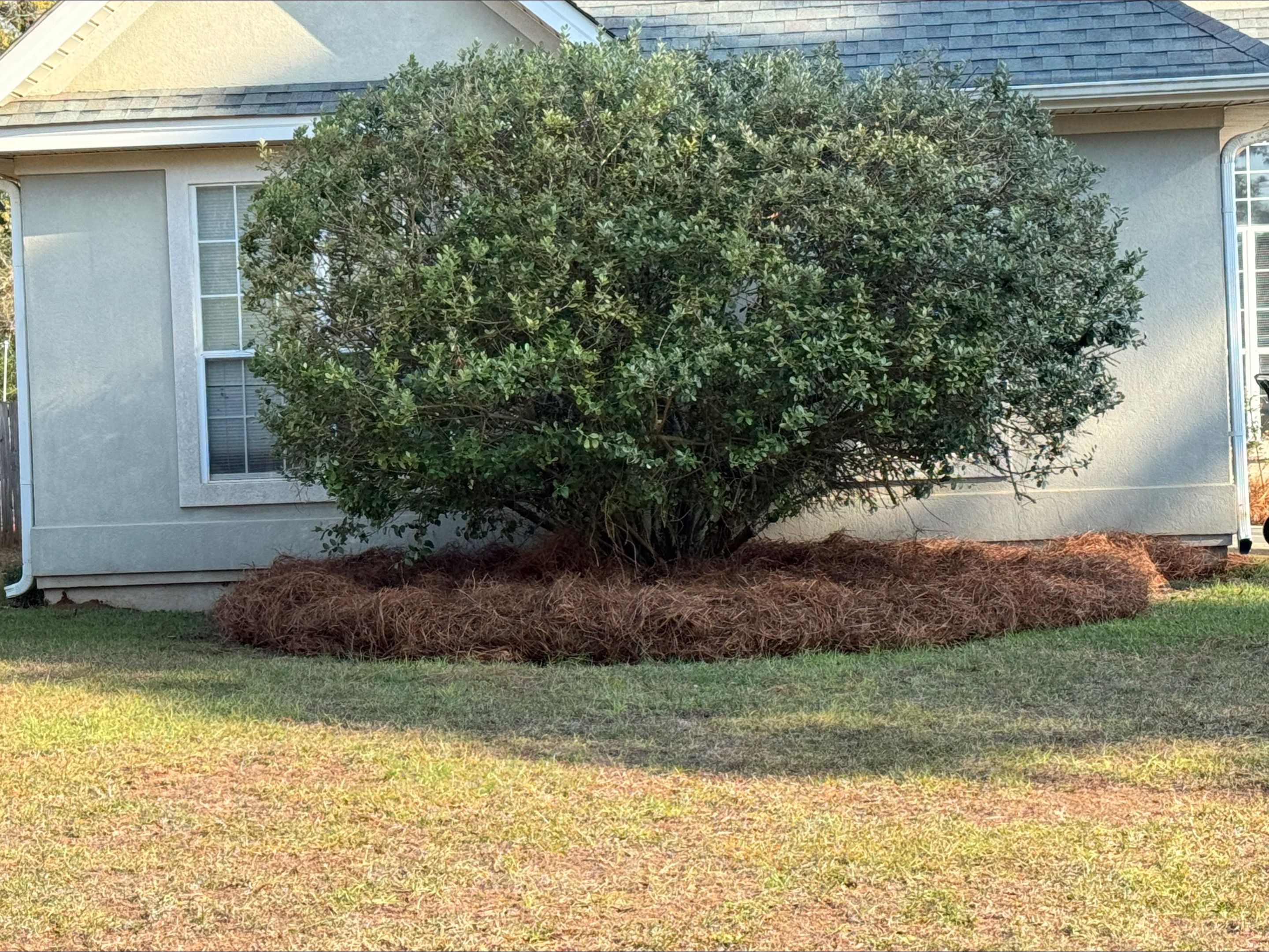 All Photos for Camalett Services in Perry, GA