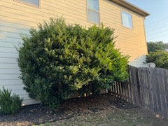  for Thin Green Line Landscaping & More in Laurens, SC