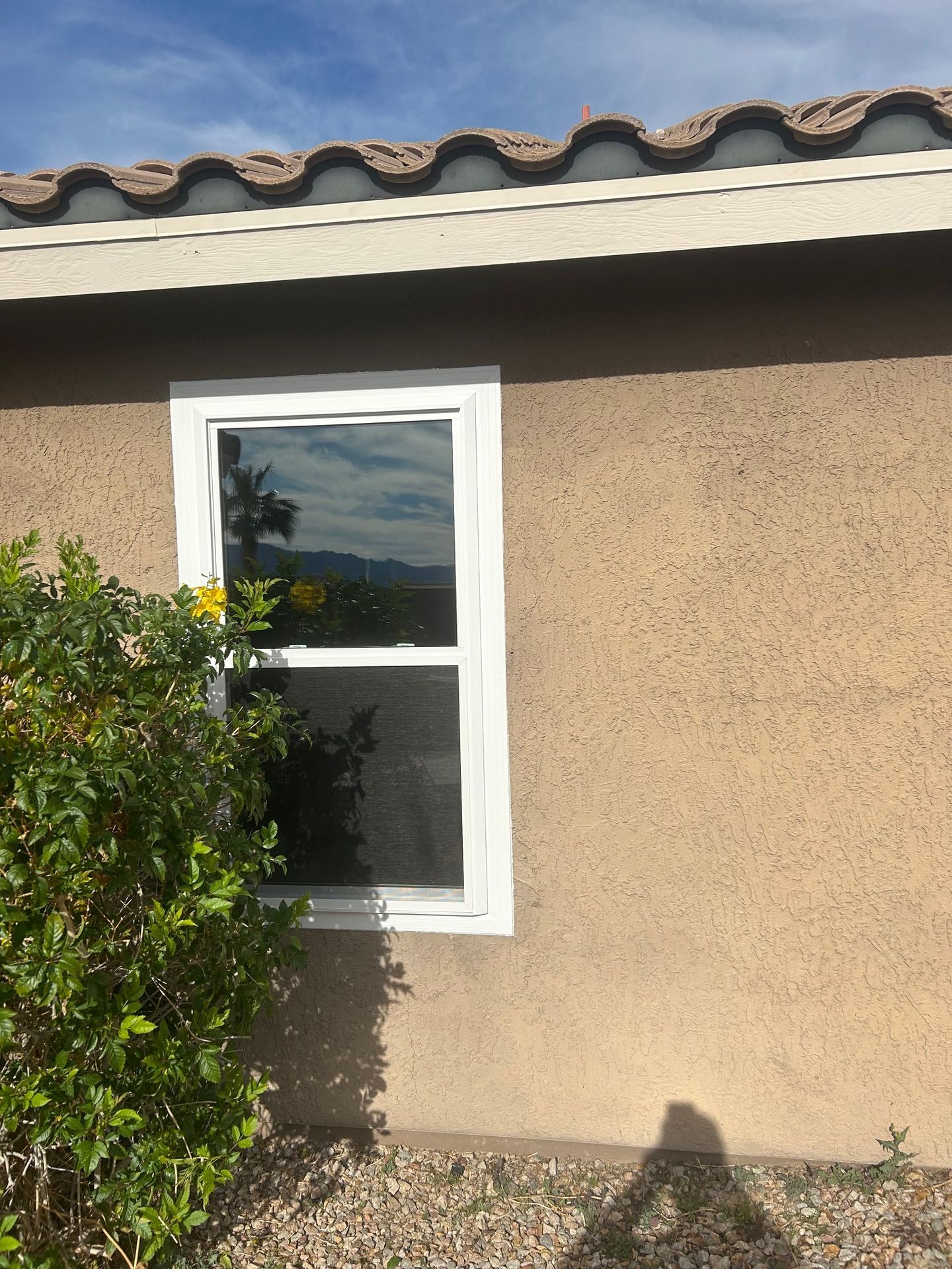  for Vivid Windows in Centerville, UT