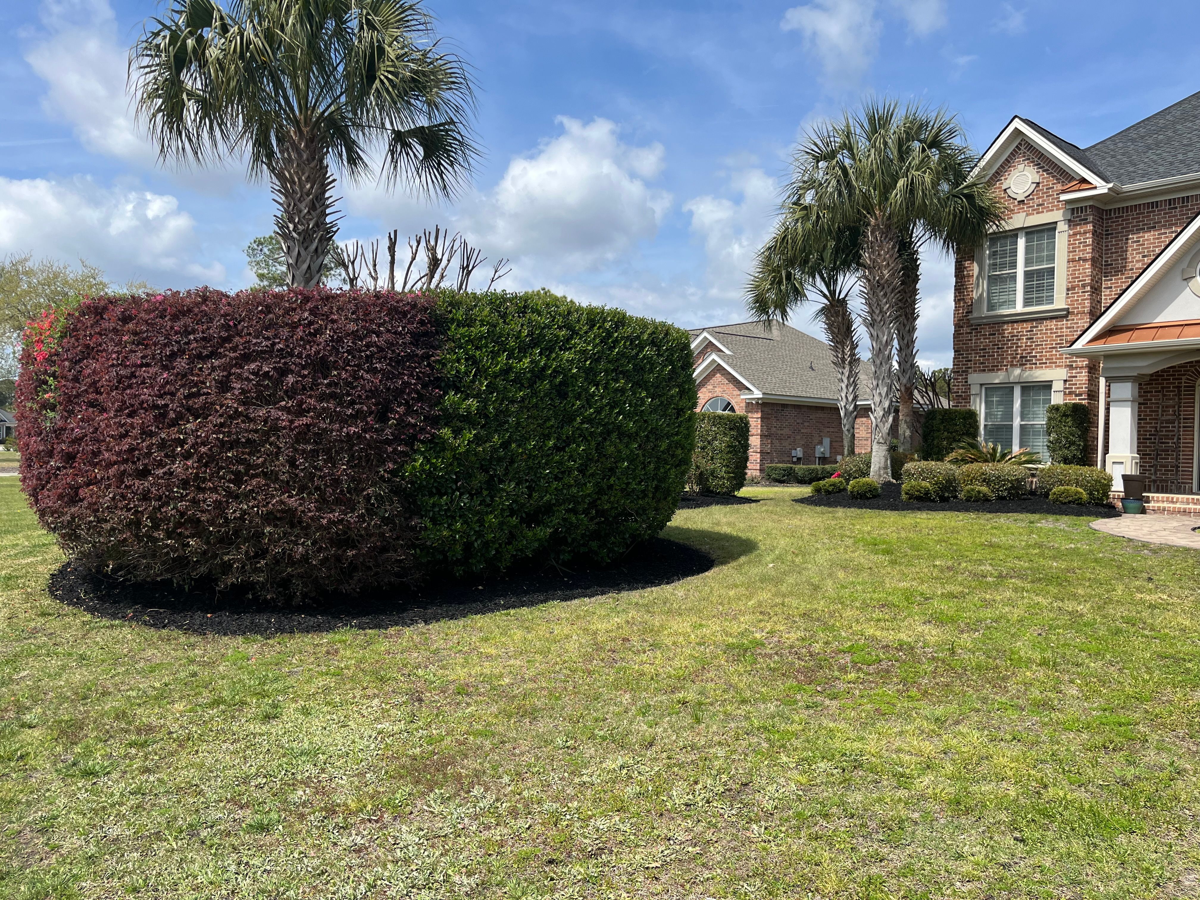  for New Creation Landscaping in Myrtle Beach, SC