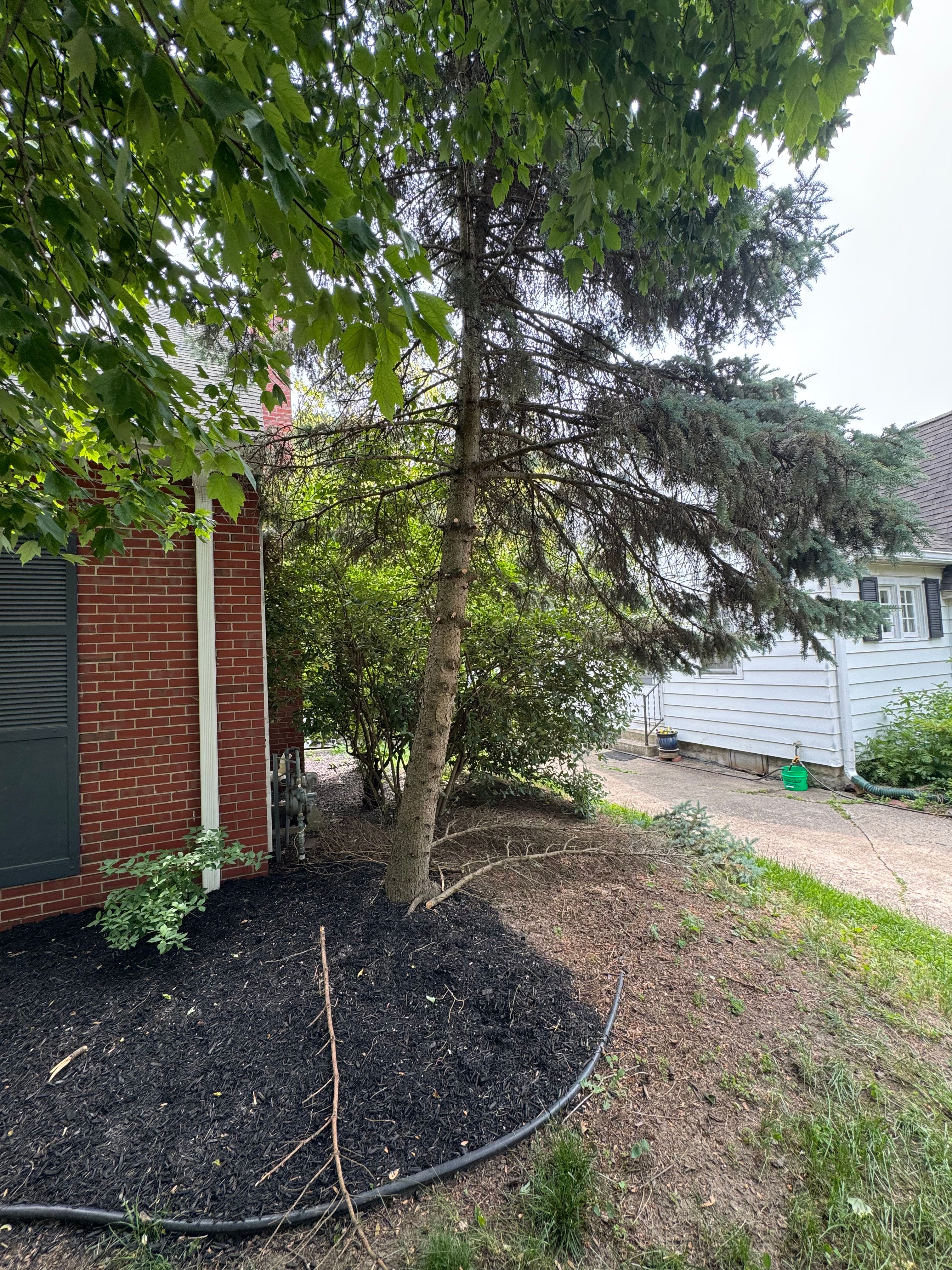 All Photos for Wininger Landscaping in New Richmond, IN