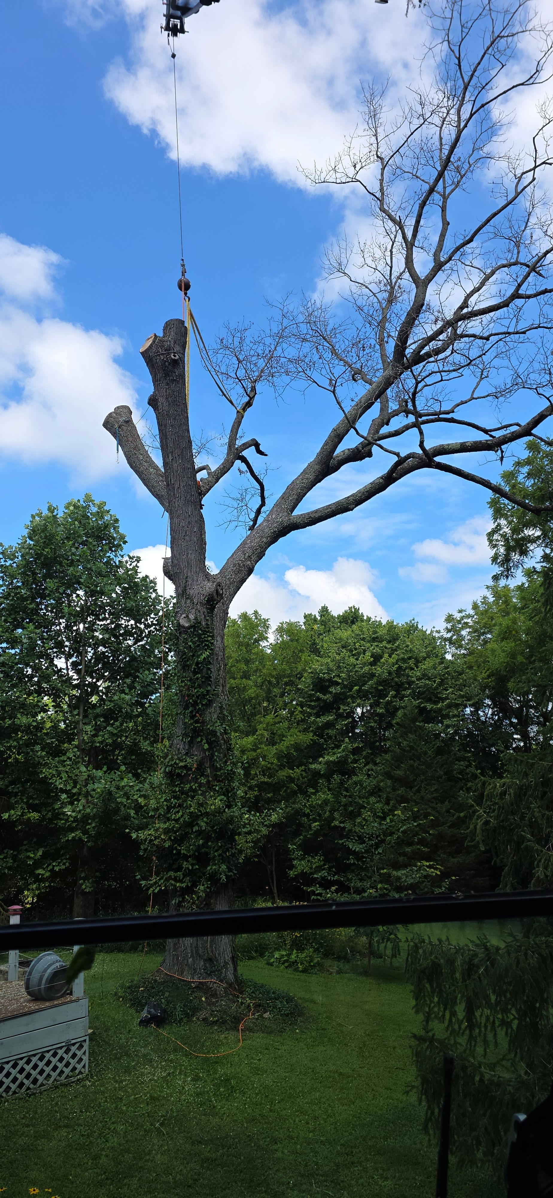  for Advanced Tree Solutions in Rockville, IN