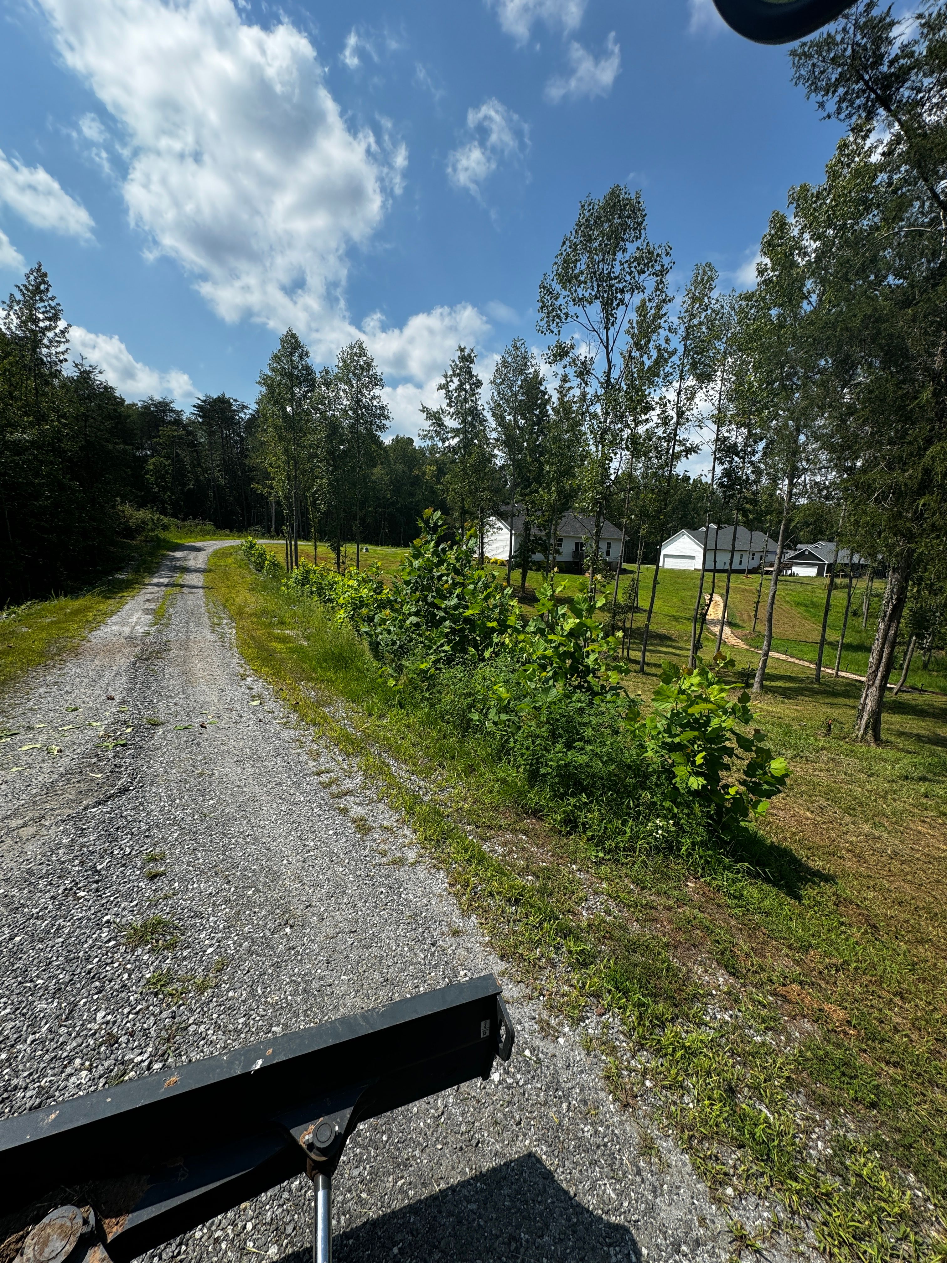  for Cone Grading and Land Clearing in Summerfield, NC