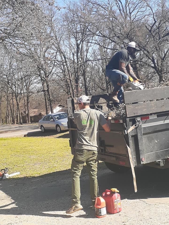 Tree Removal for Tree2Tree Tree Service in Sherman, Texas