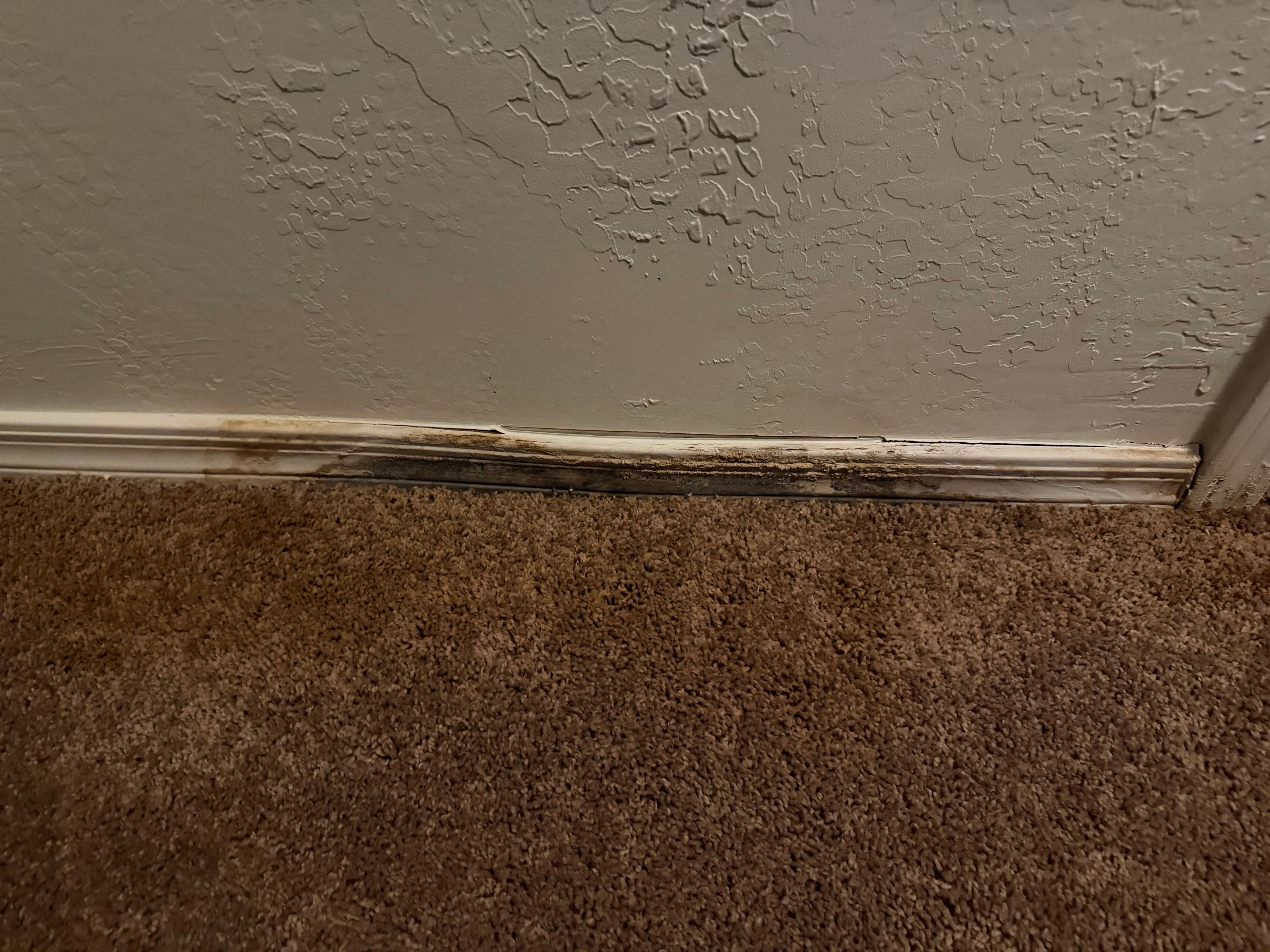  for MC Drywall Solutions in Queen Creek, AZ