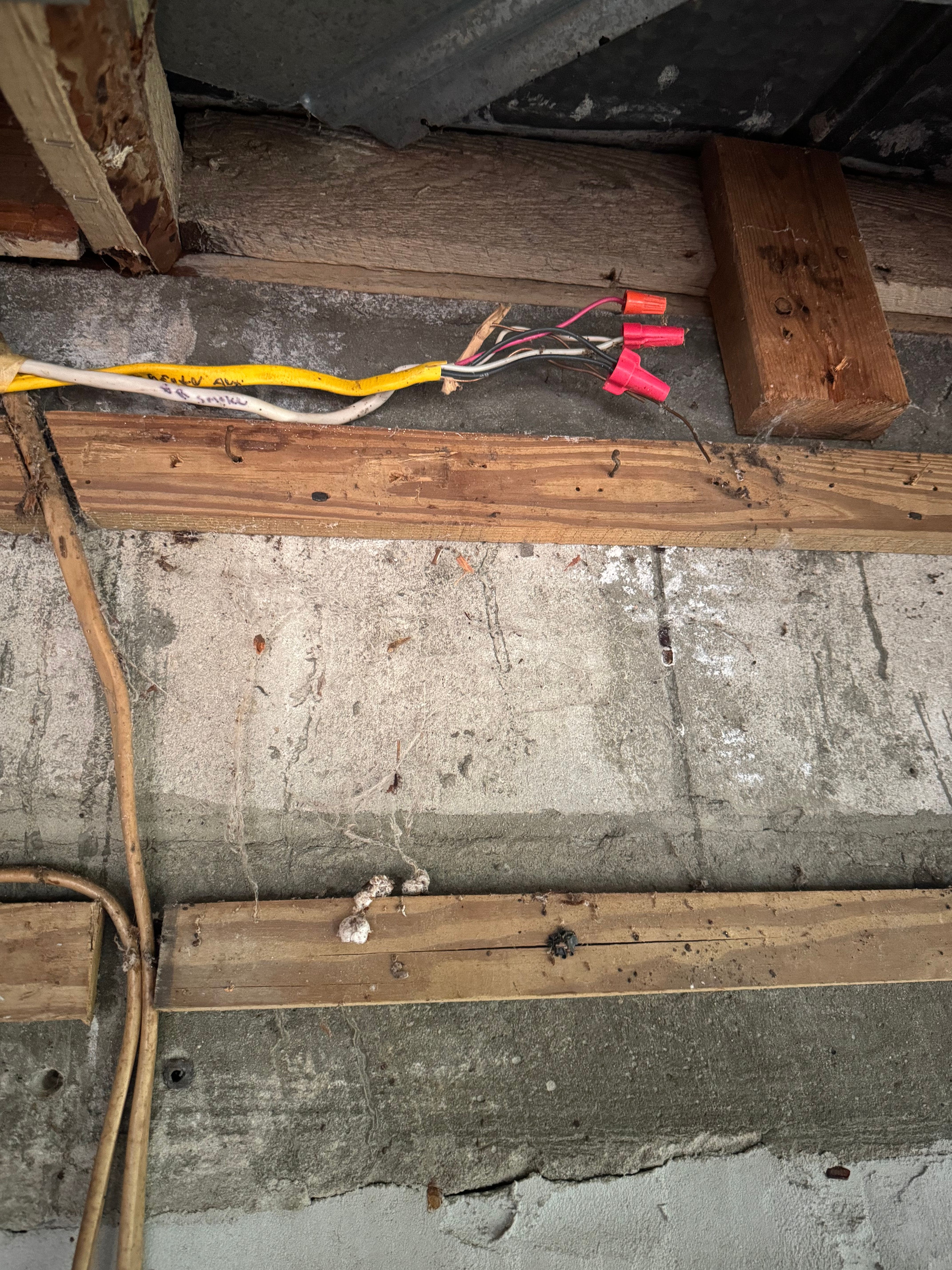  for Spirit Enterprise Construction LLC in Tampa Bay, FL