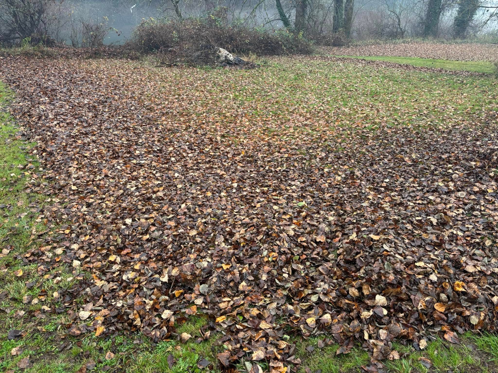  for Ring Property Maintenance in Willamina, OR