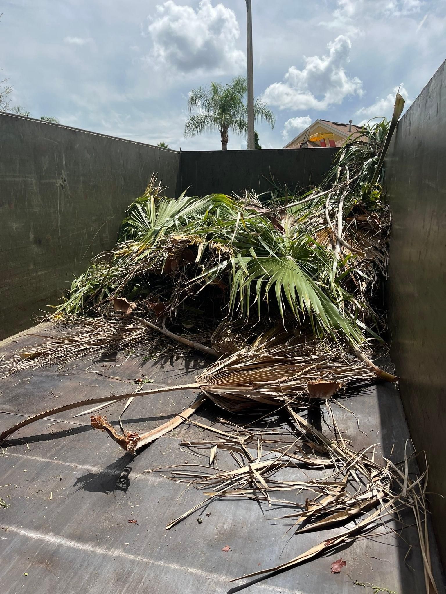  for Bills Tree Service in Valrico, FL