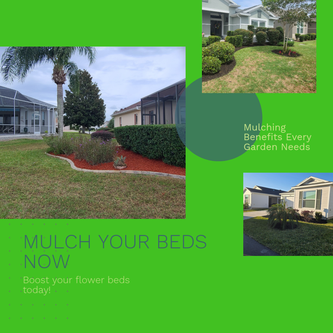  for TopNotch Landscaping Services  in The Villages, FL