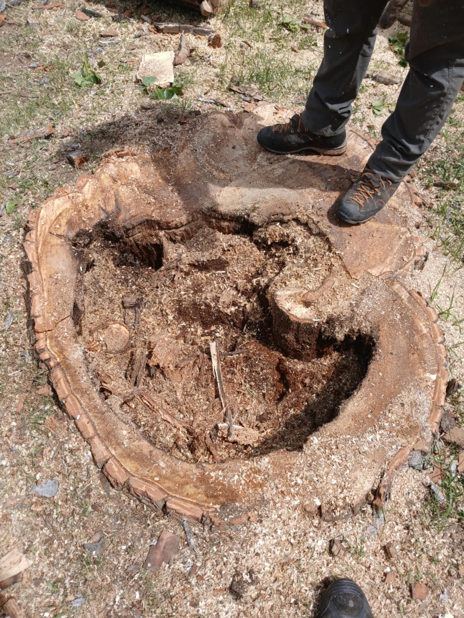  for Two Fellers Tree Service in Buffalo, WY