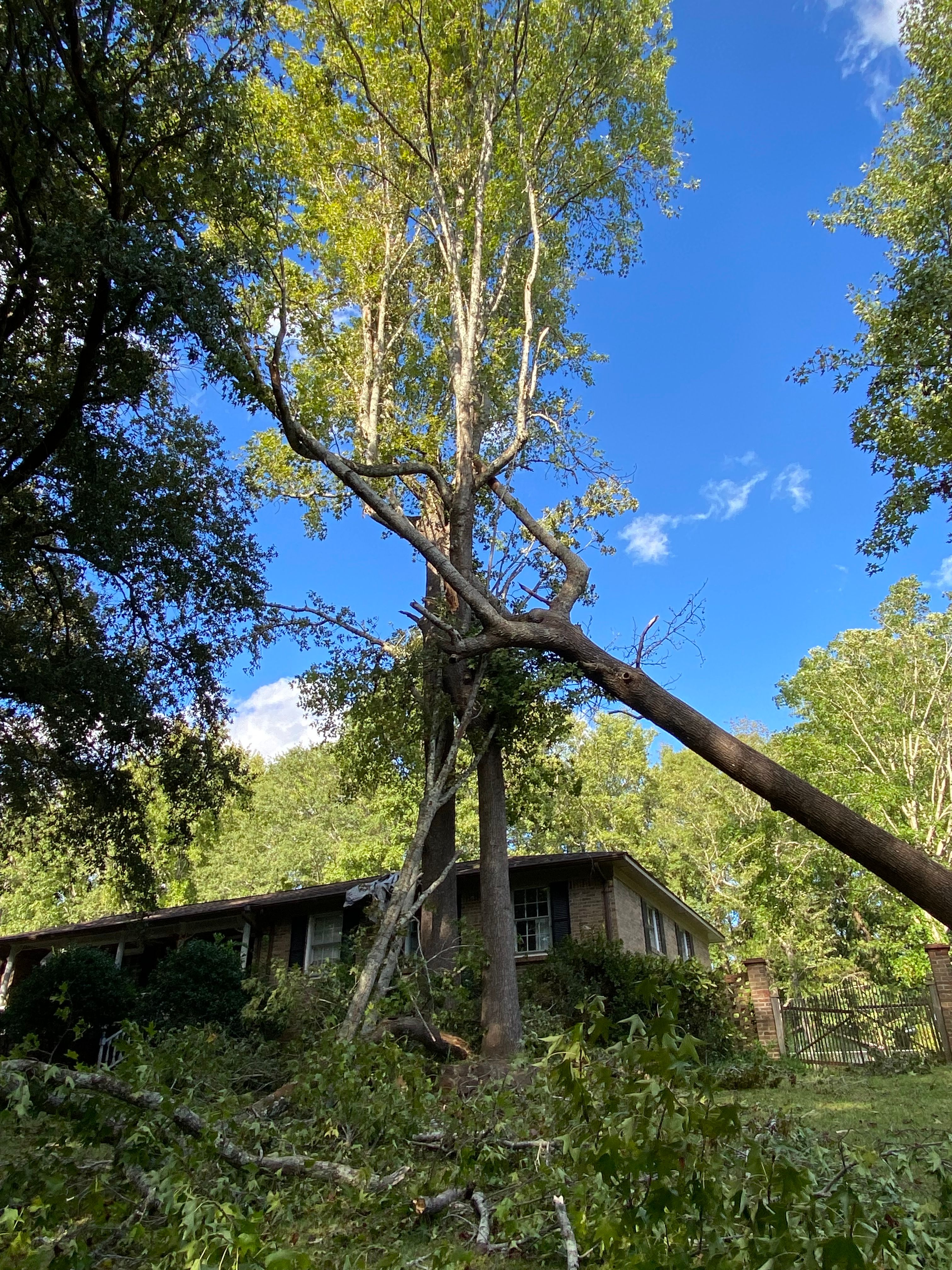 All Photos for DuBose Outdoor Services in Sumter, SC