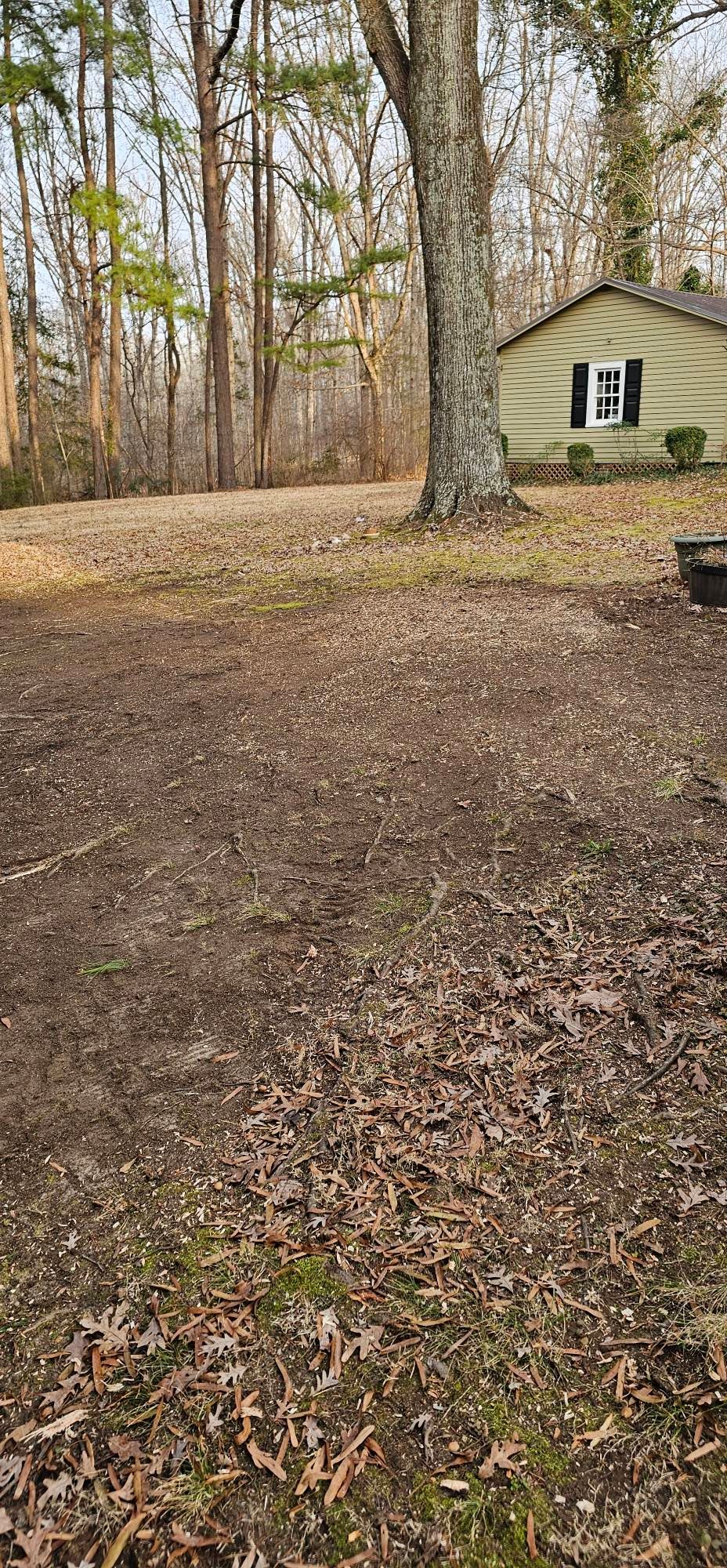  for Hamlett Tree Service LLC in Clover, VA