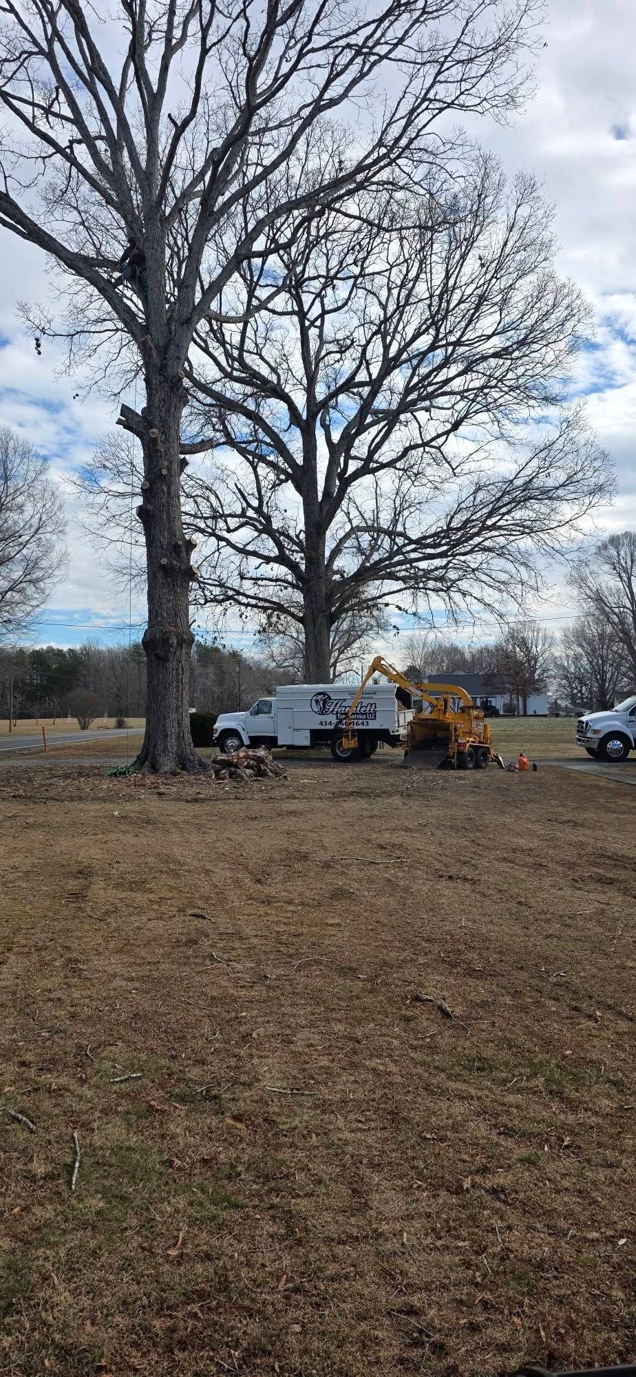  for Hamlett Tree Service LLC in Clover, VA