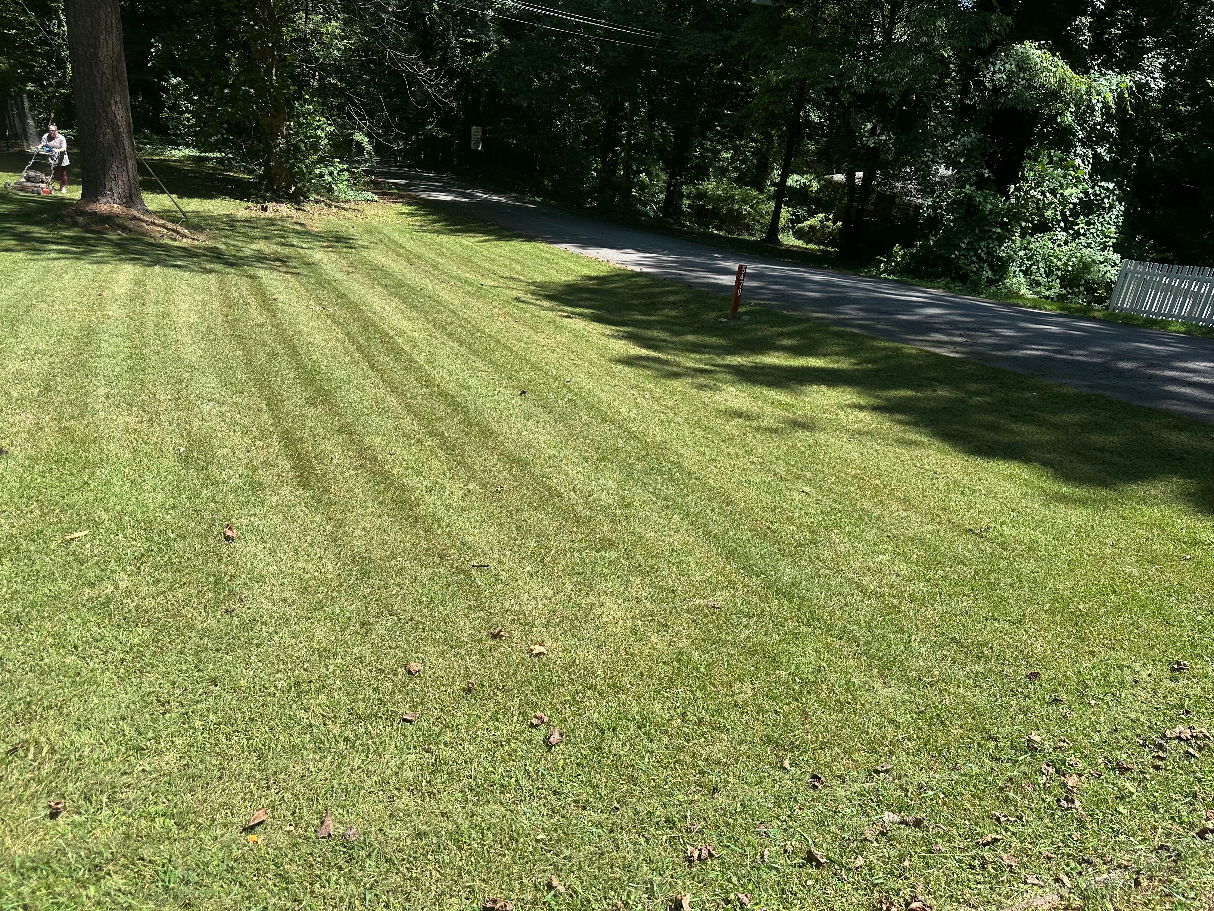  for Williams Brothers Landscaping & Construction in Atlanta, GA