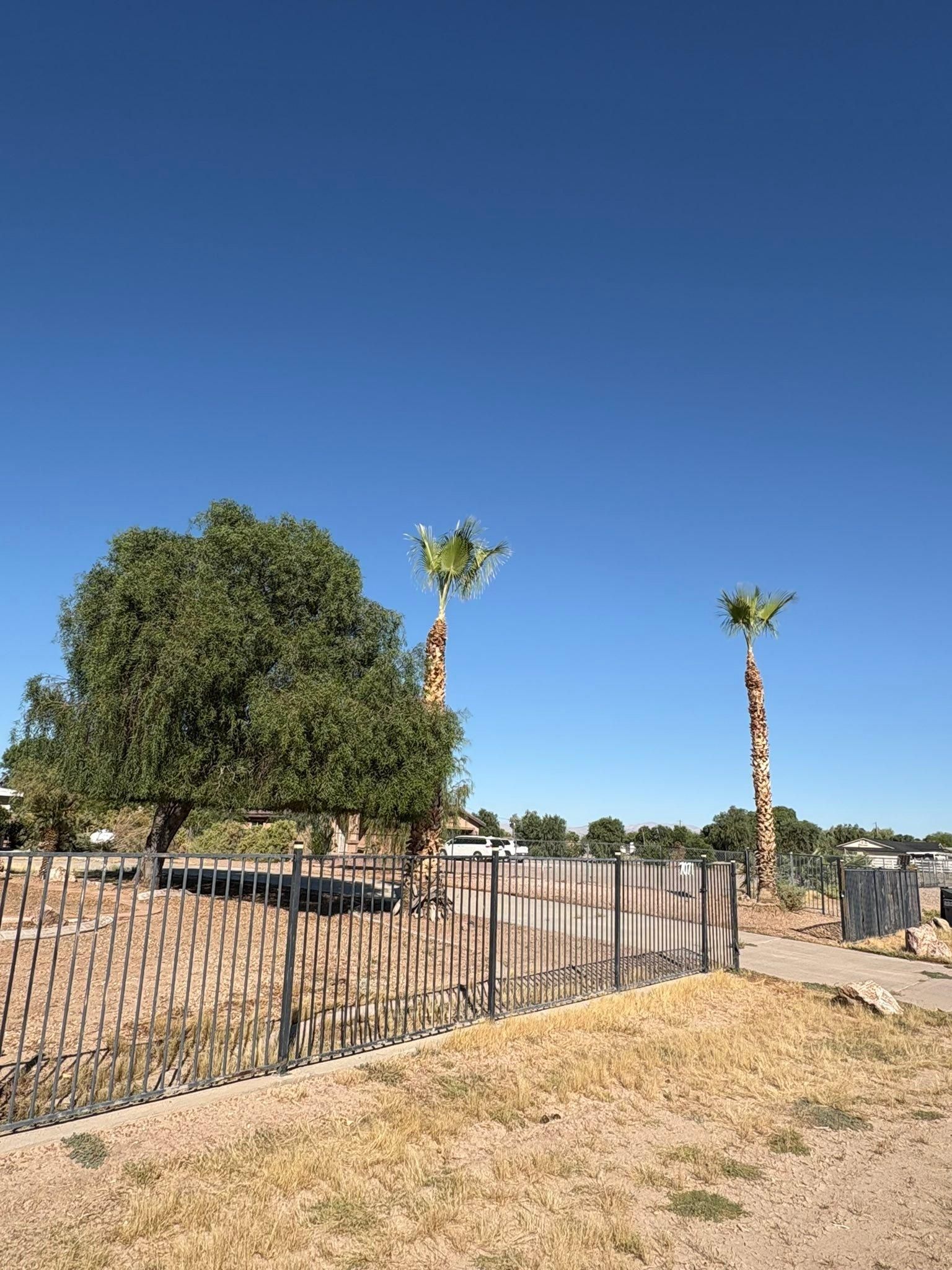  for Top Notch Landscape Services in Mohave Valley, AZ