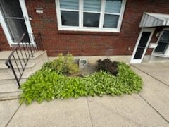  for JT's Painting 518 LLC in Schenectady, NY