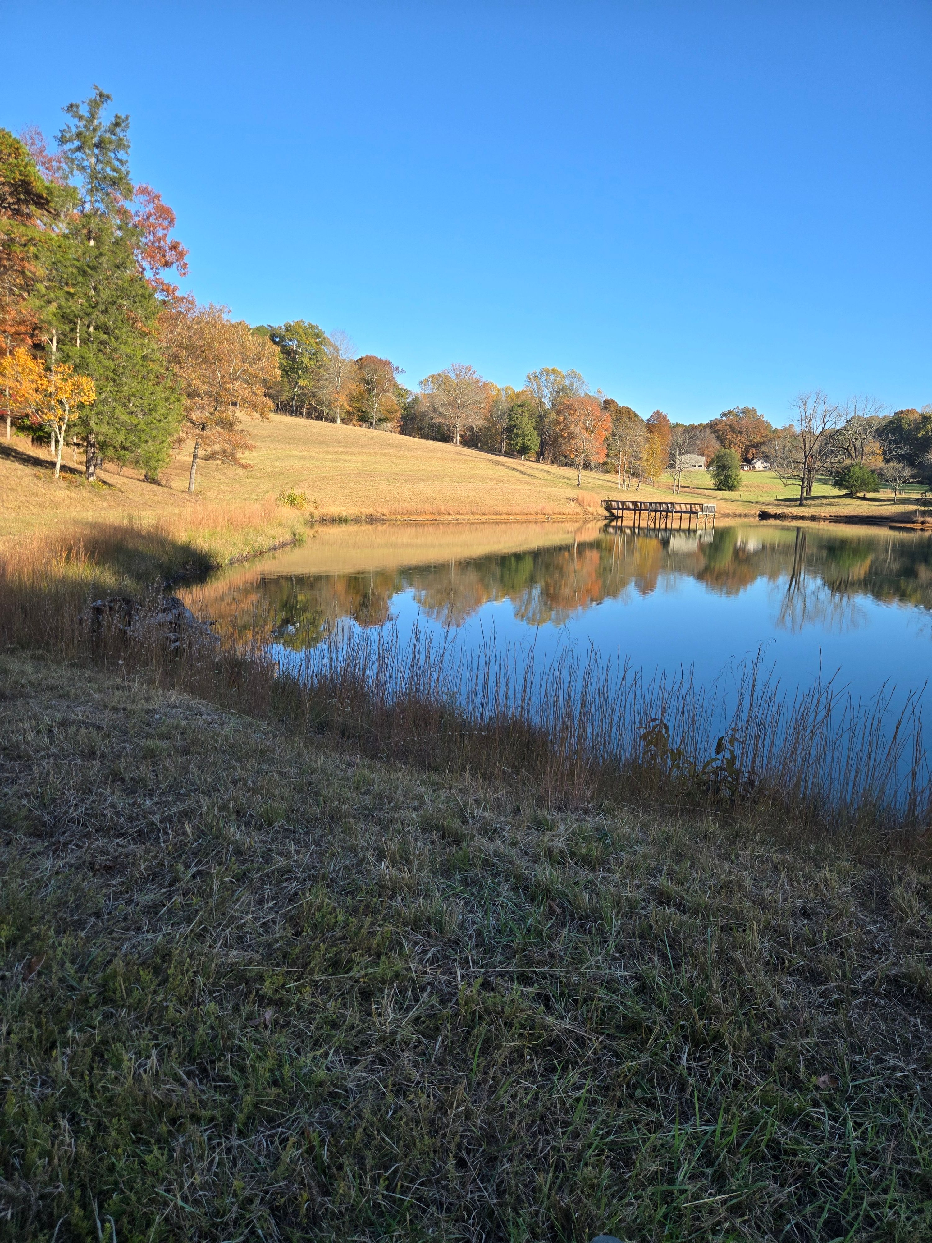  for Palmour's Lawn Care in Gainesville, GA