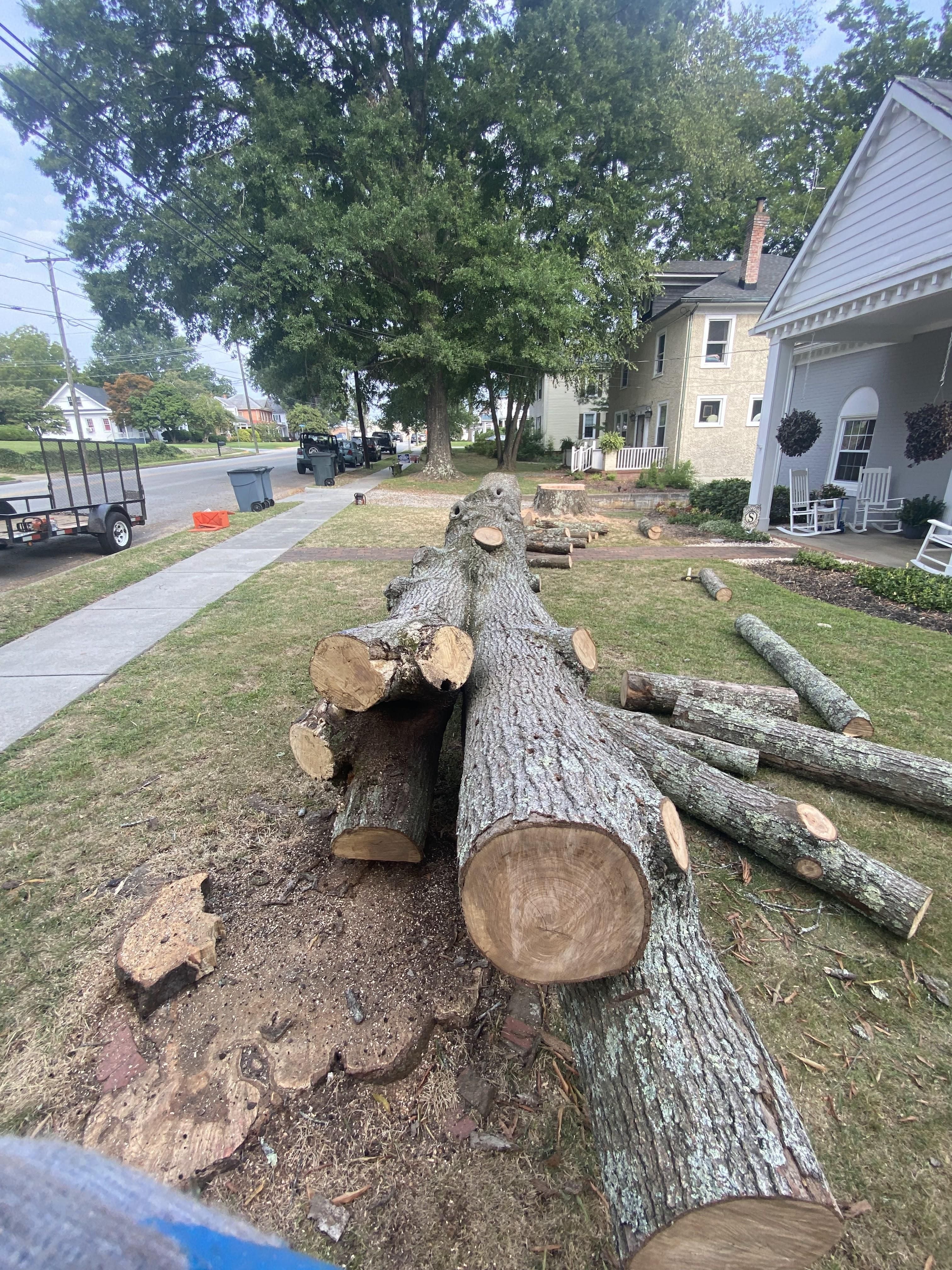  for Ascending Tree Service LLC in Kenbridge, VA