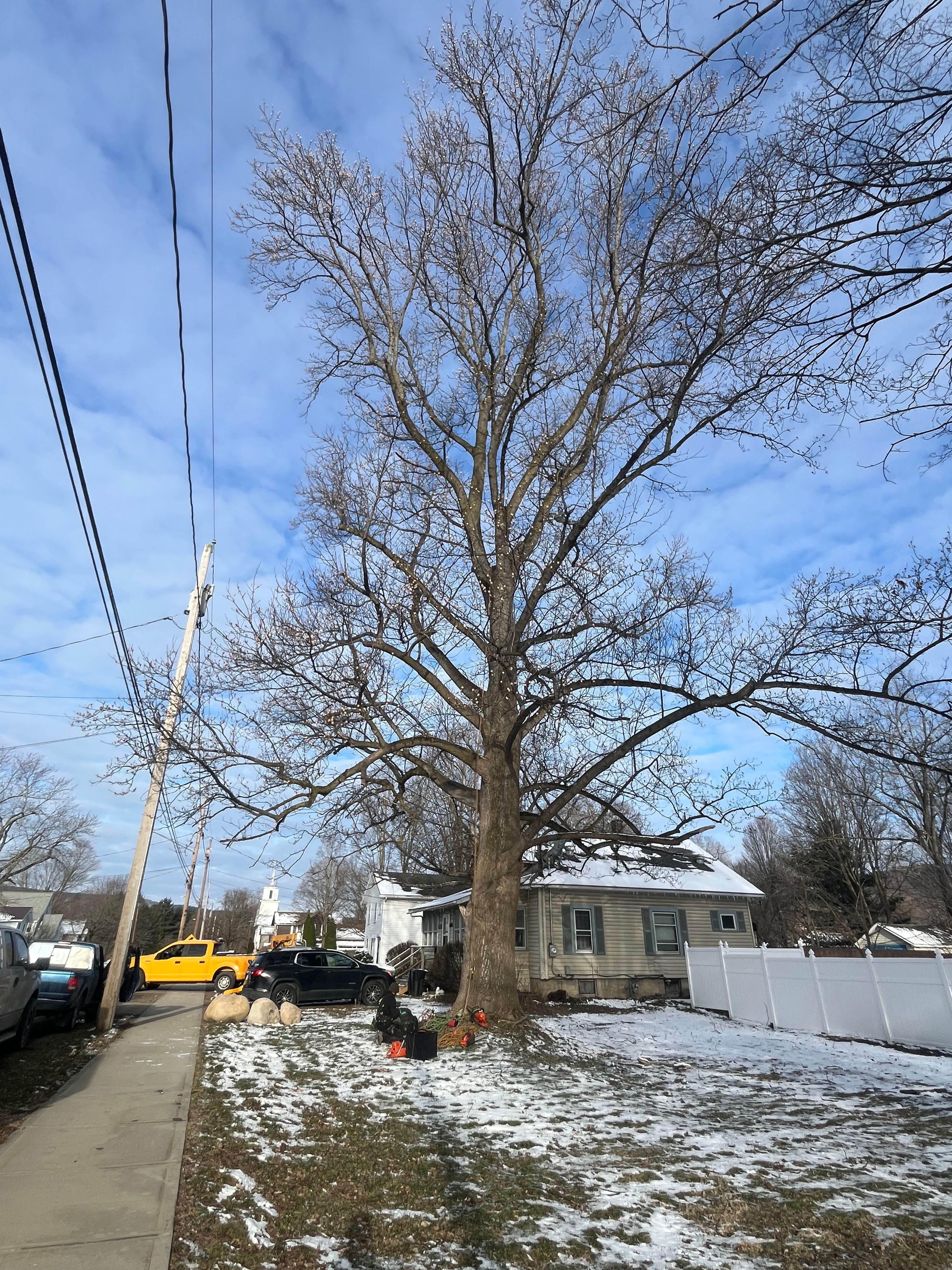 All Photos for Licensed to Cut Tree Service in Athens, PA