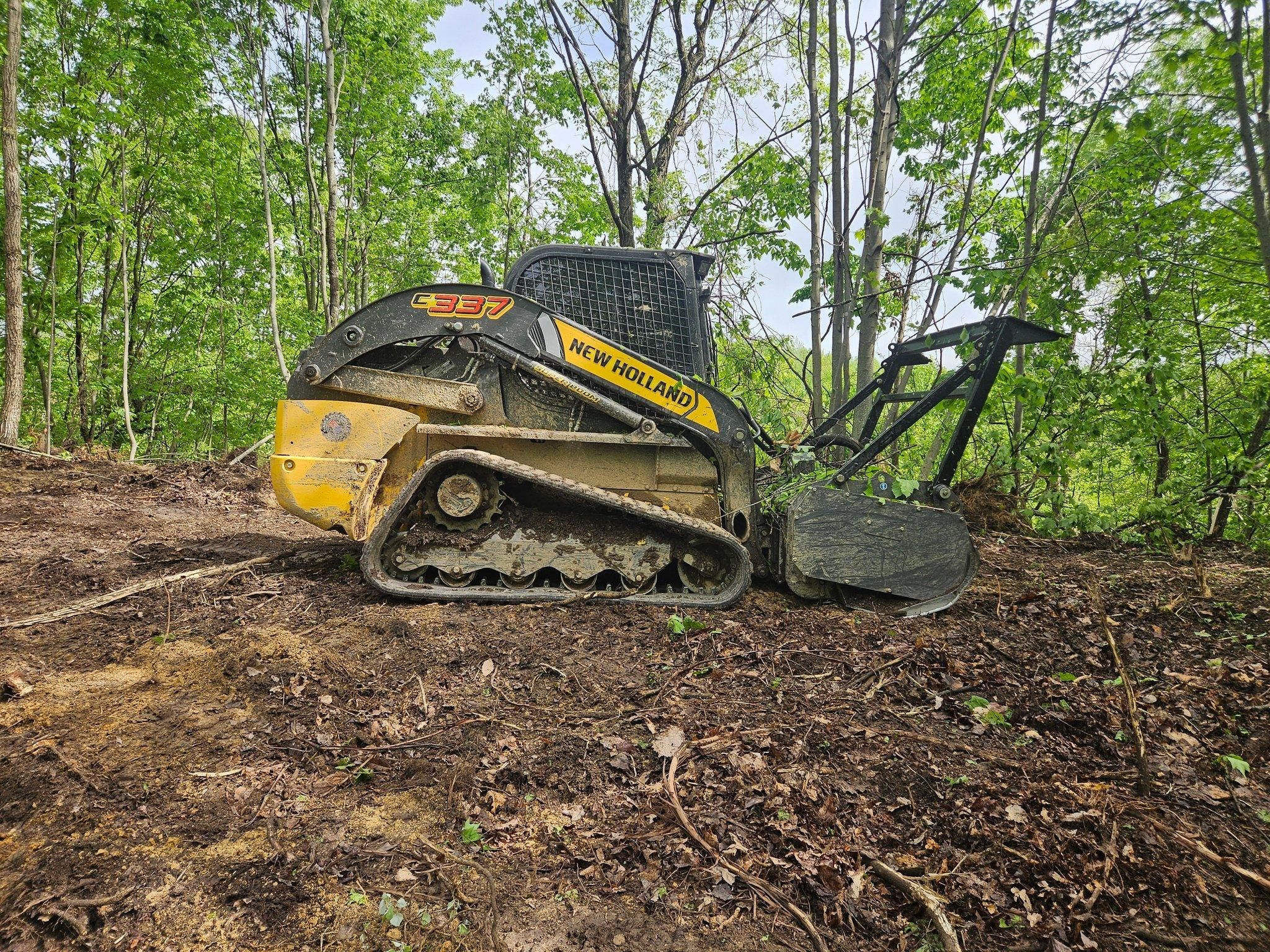  for Bay Area Bobcat in Riverview, FL