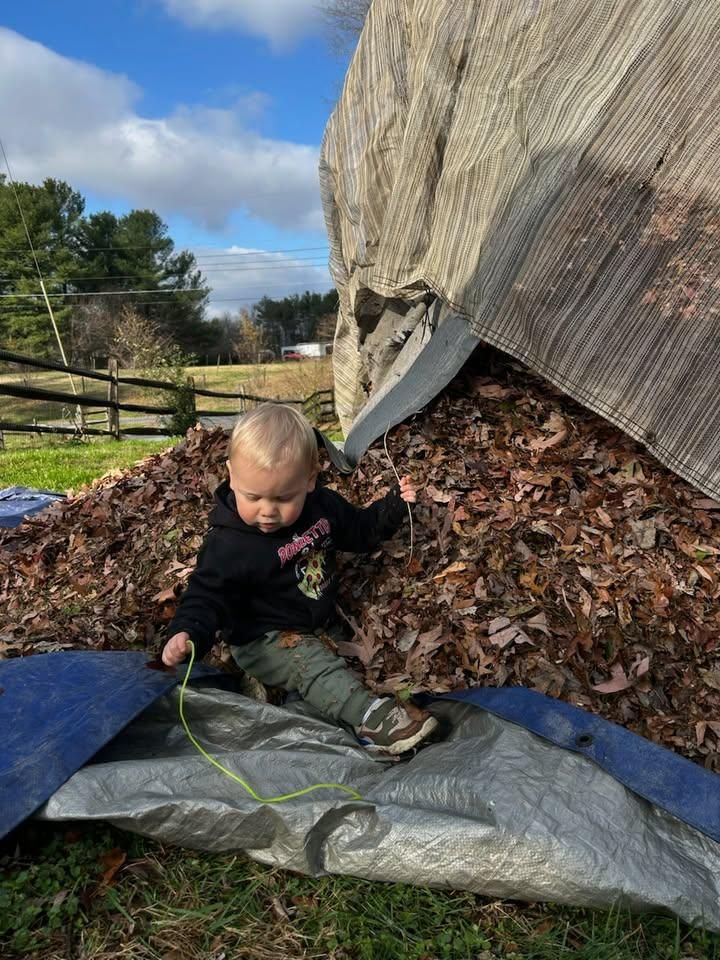 All Photos for Clean Cut Lawns & Landscaping in Dickerson, MD