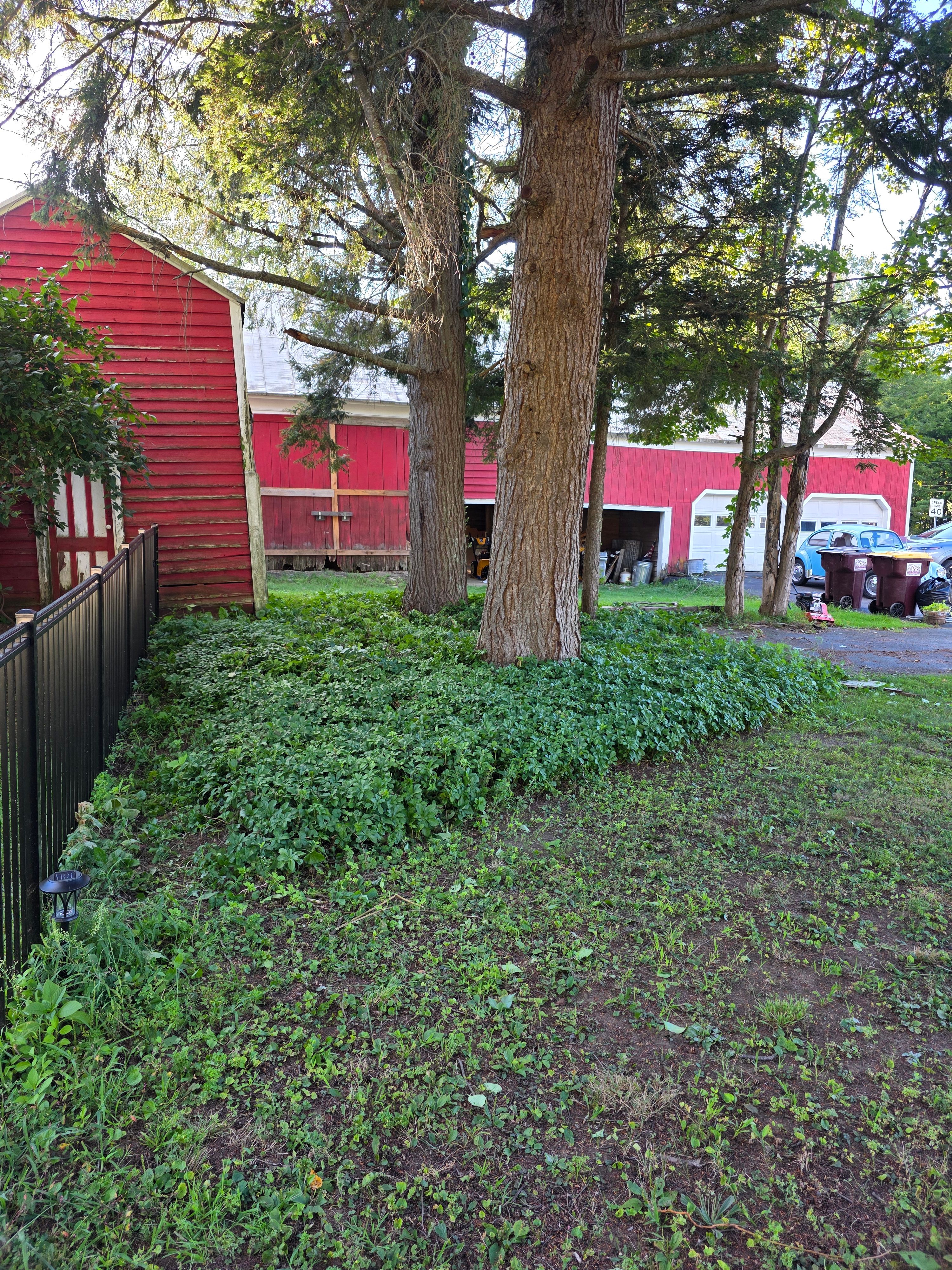  for Sweet Scapes in Ballston Spa, NY