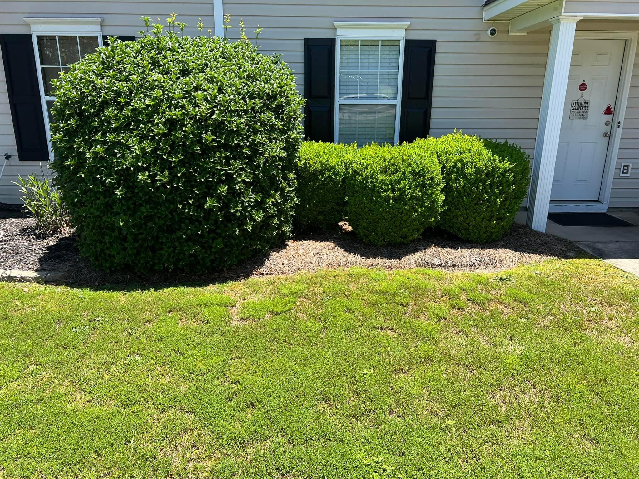  for Shang's Landscaping Service in Columbia, South Carolina