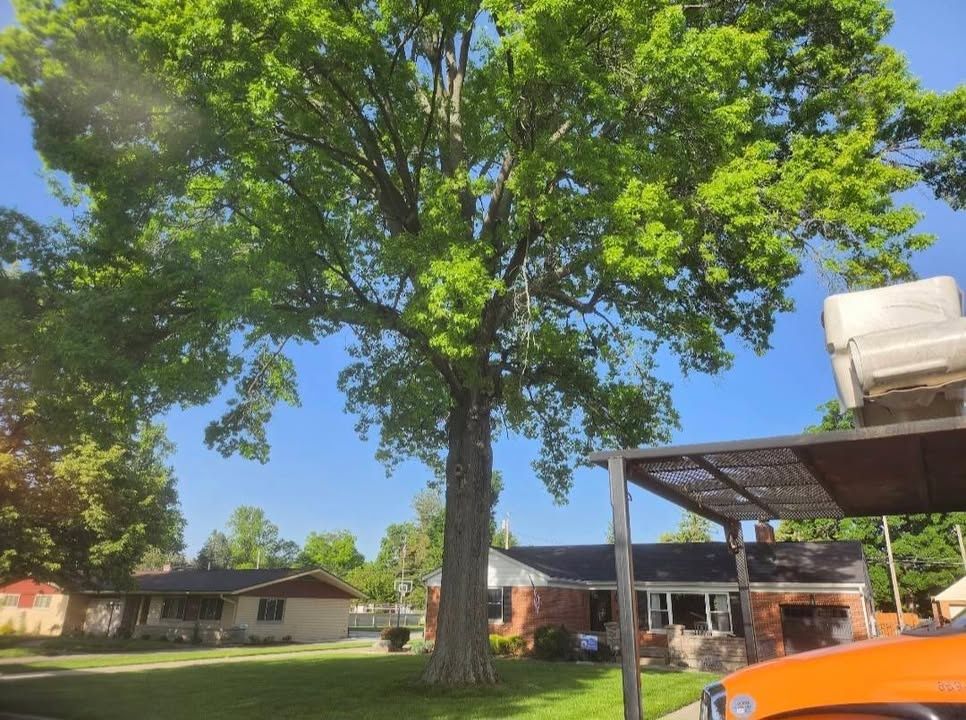  for Carpenter's Tree Service in Aurora, IN