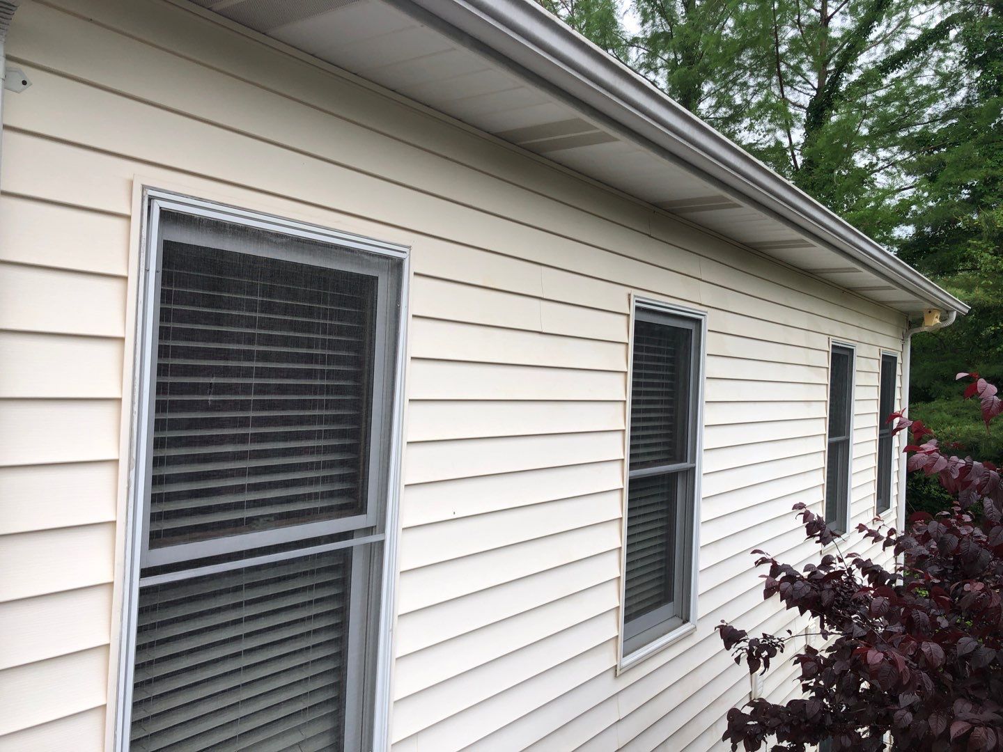  for See2it Clean in St Louis, MO