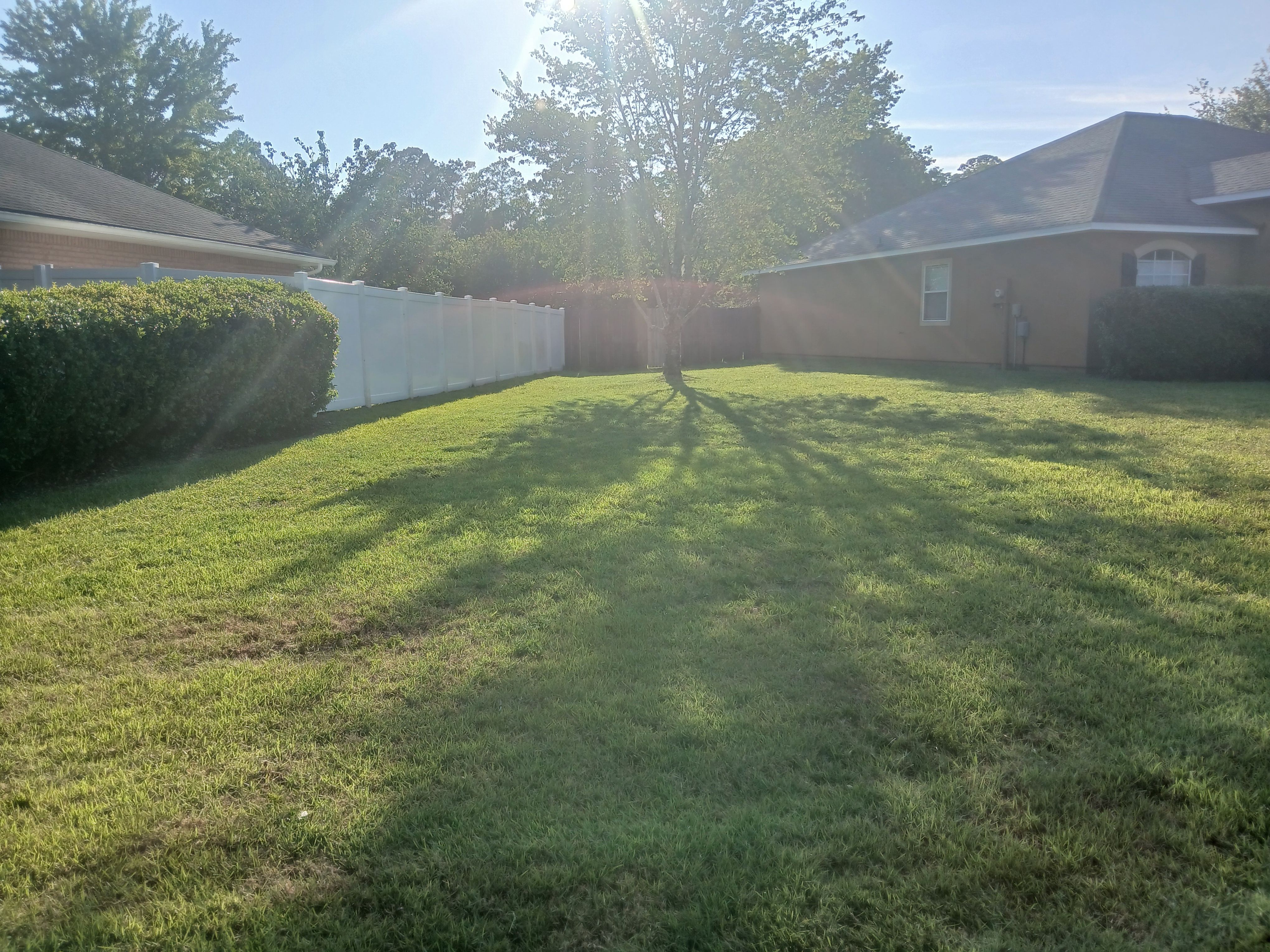 All Photos for Tugger and Son's Lawn Care Services in Jacksonville, FL