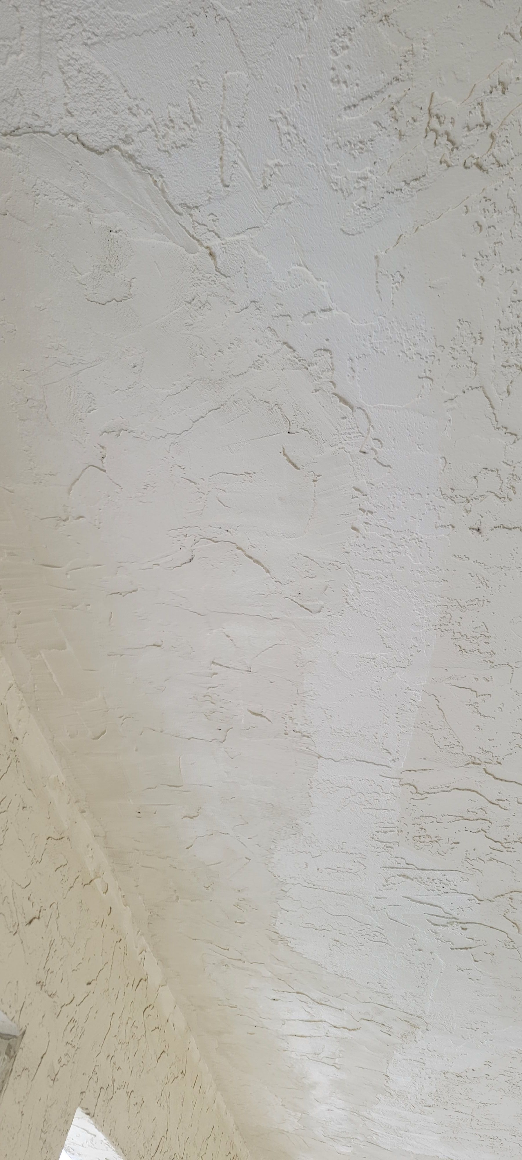  for Millenium Construction & Property Management in Tampa, FL