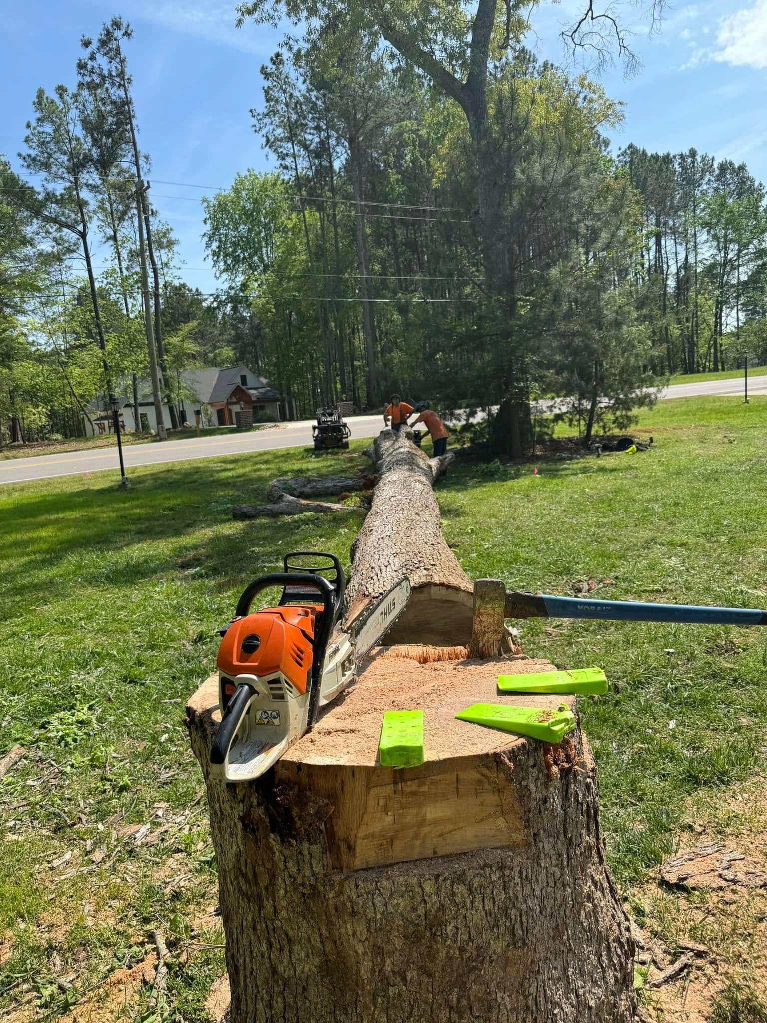 for Diversified Tree Company in Trinity, NC