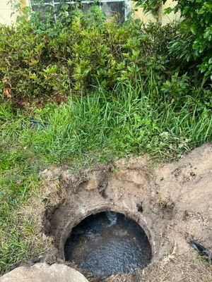  for Reliable Septic Tank Services in Marion County, FL in Reddick, FL