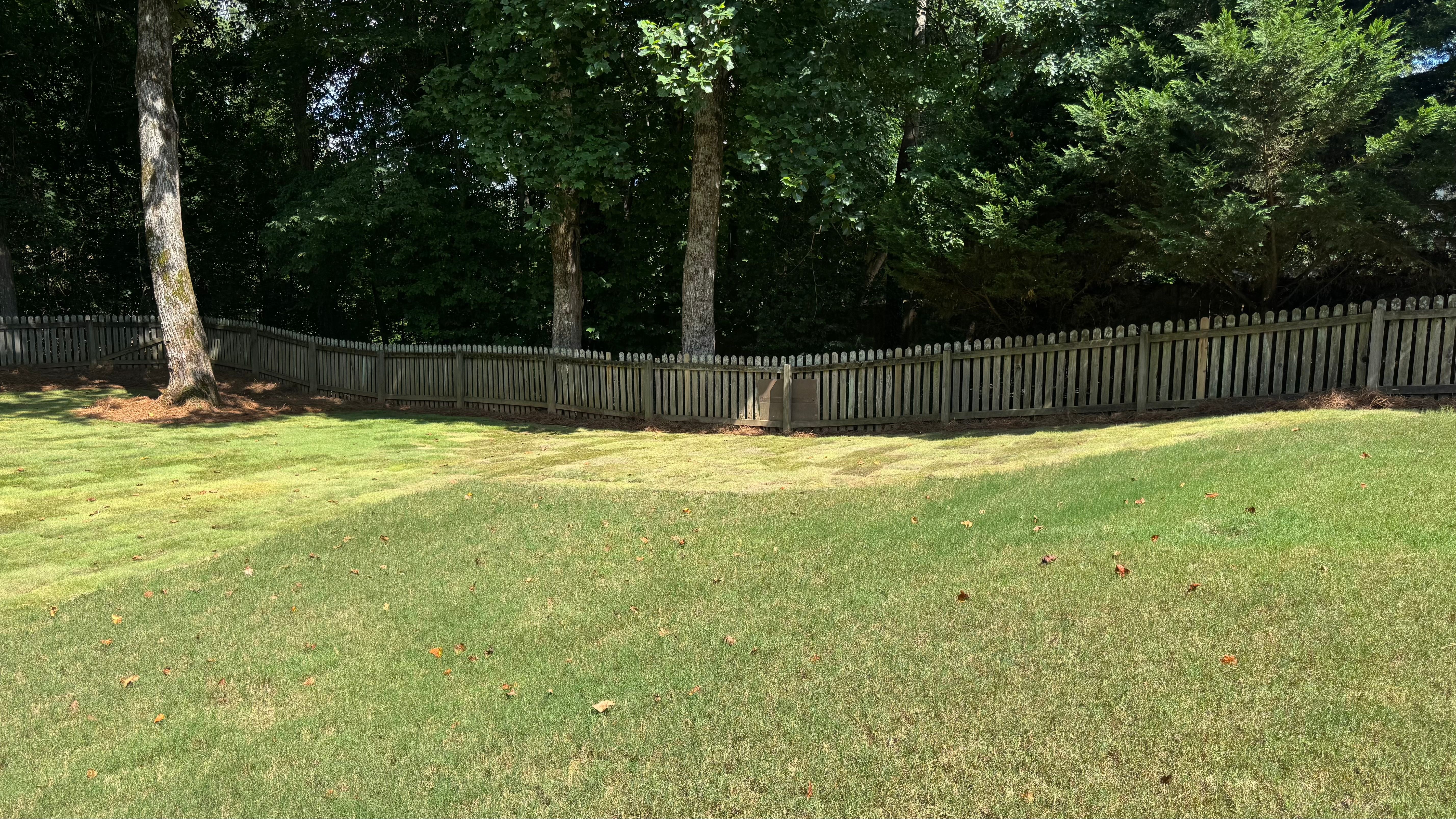  for Capital GREEN in Atlanta, GA