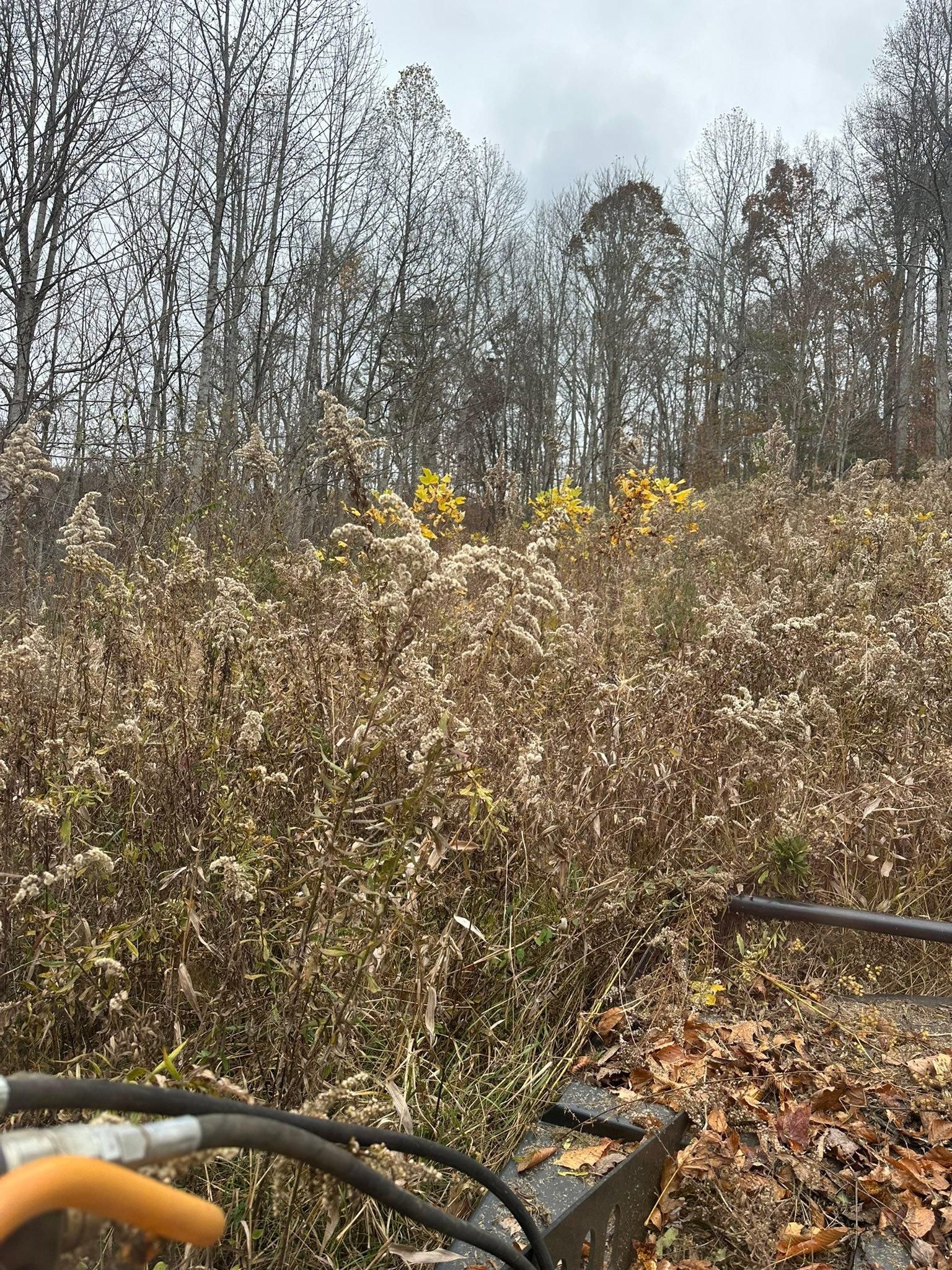  for Excavation Innovations in Rogersville, TN