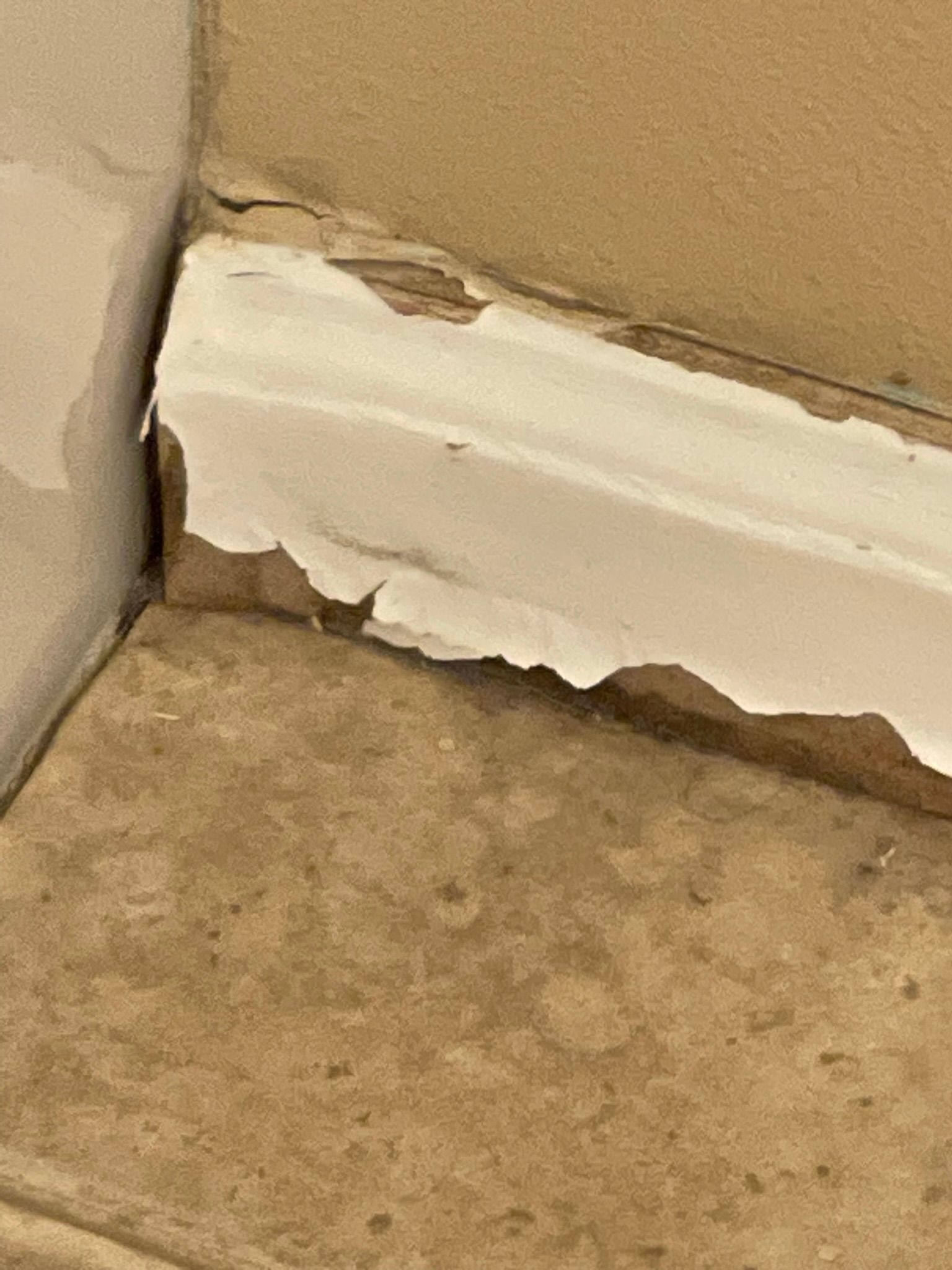  for Tony's Remodeling & Painting in Renton, WA