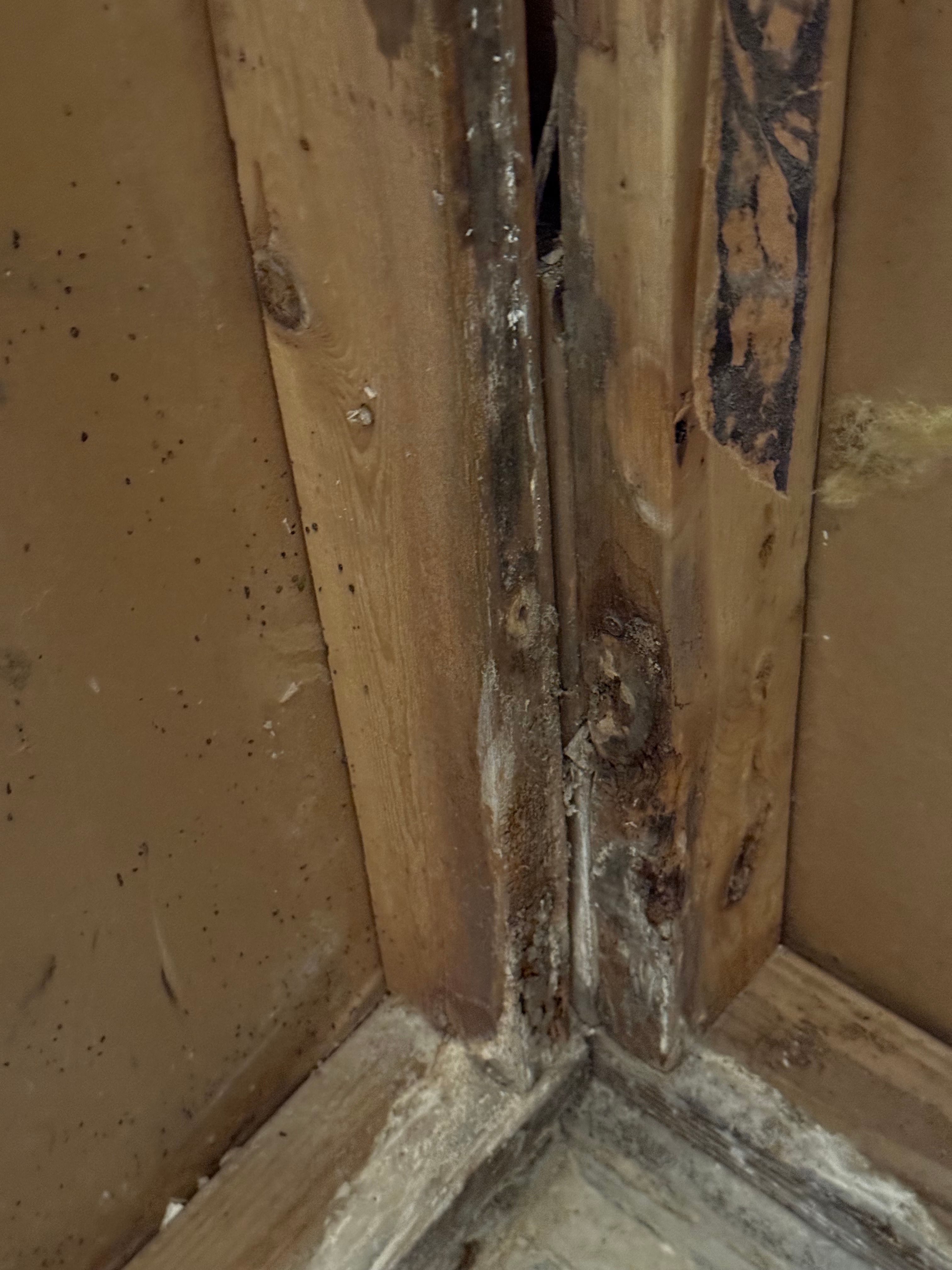  for N&D Restoration Services When Disaster Strikes, We Come In in Cape Coral,  FL