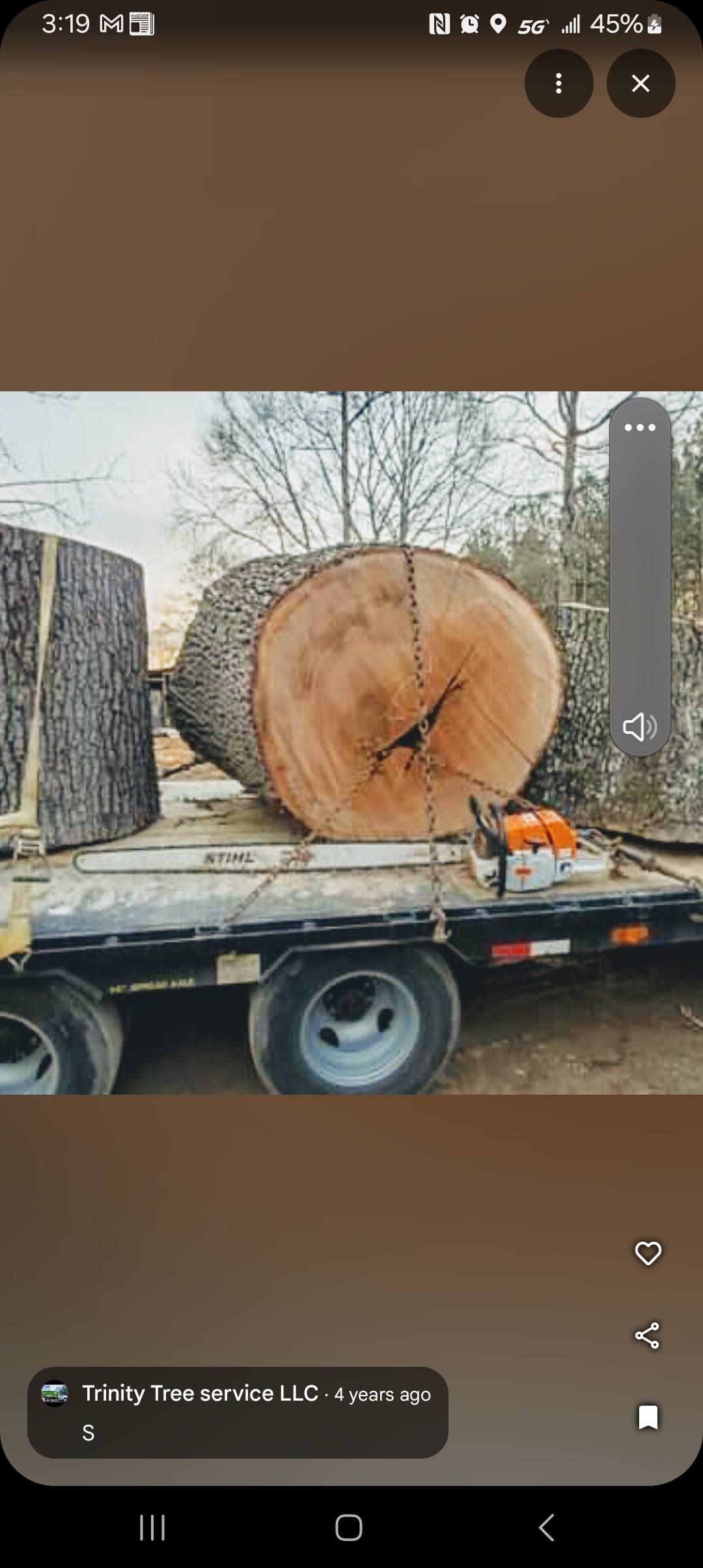  for Sky High Tree Service in Columbia, MO