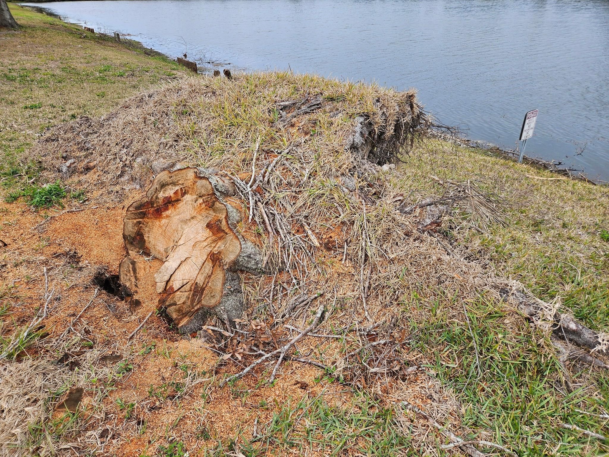  for Bay Area Bobcat in Riverview, FL