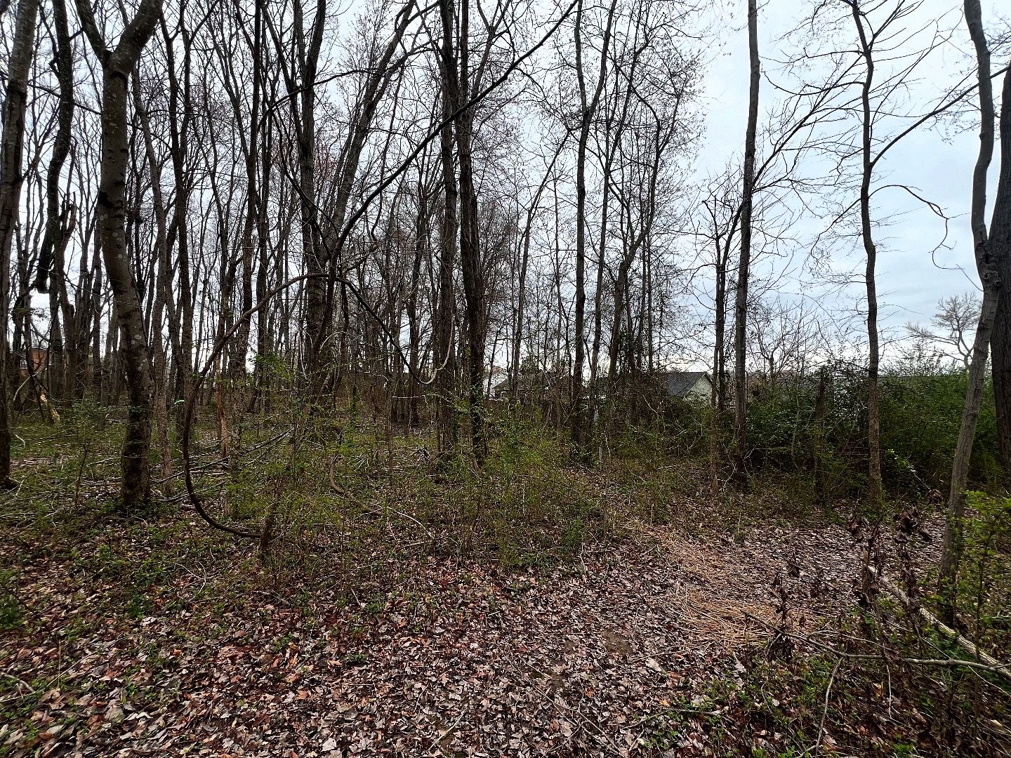All Photos for Michael Way Acres in Woodlawn, TN
