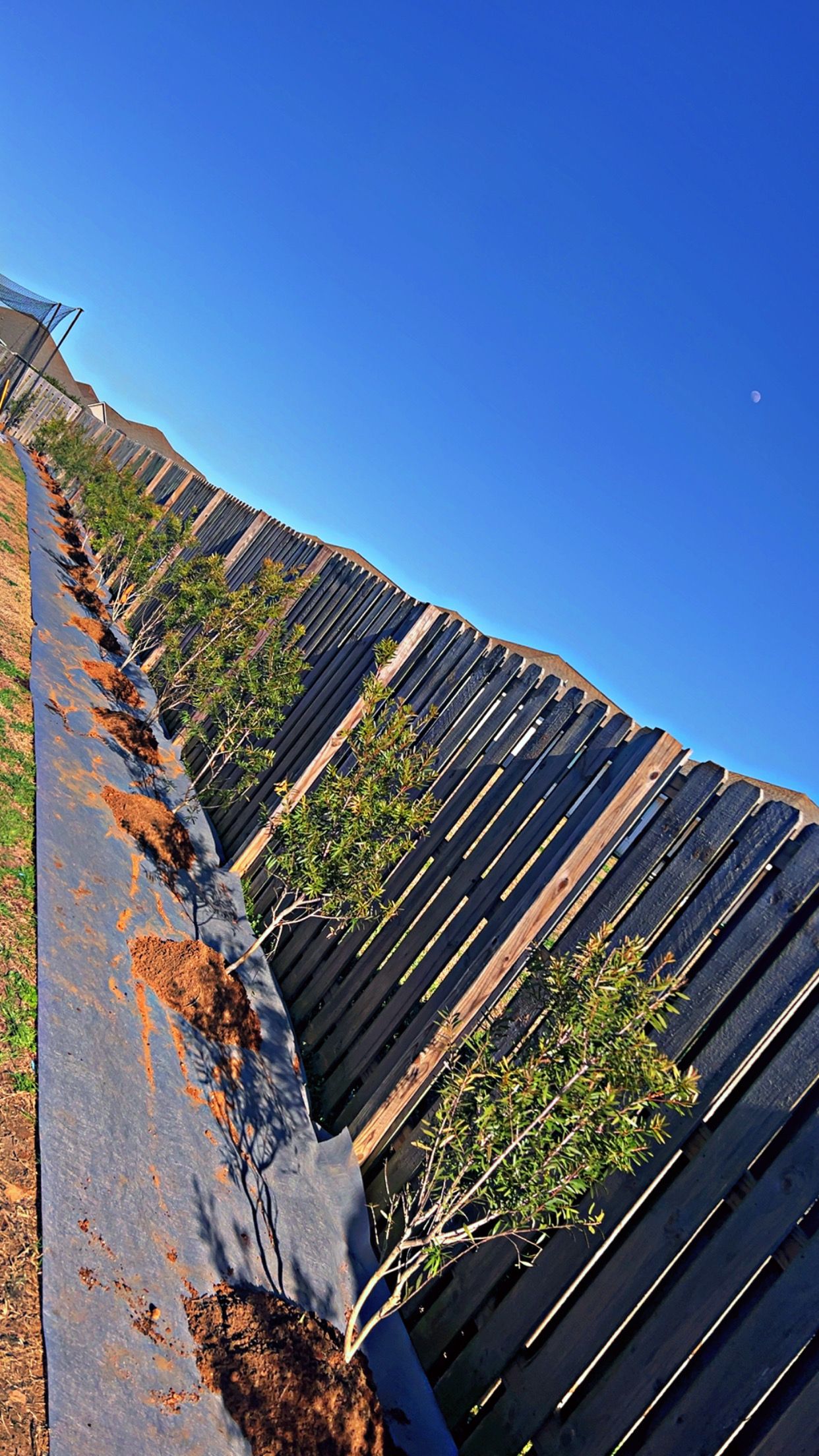  for Enhanced Landscape in Daphne, AL