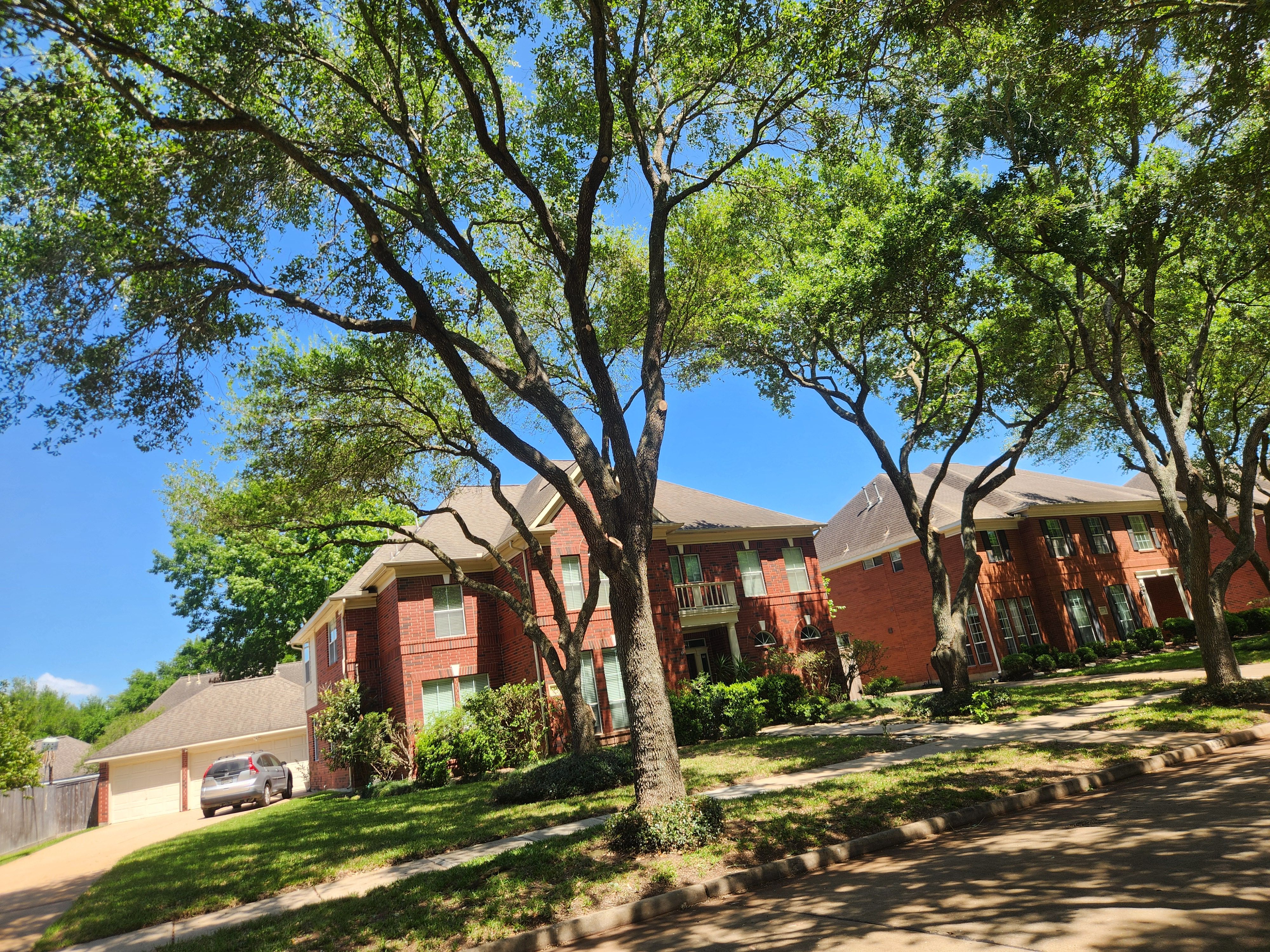  for Right Choice Landscaping LLC in Houston, TX